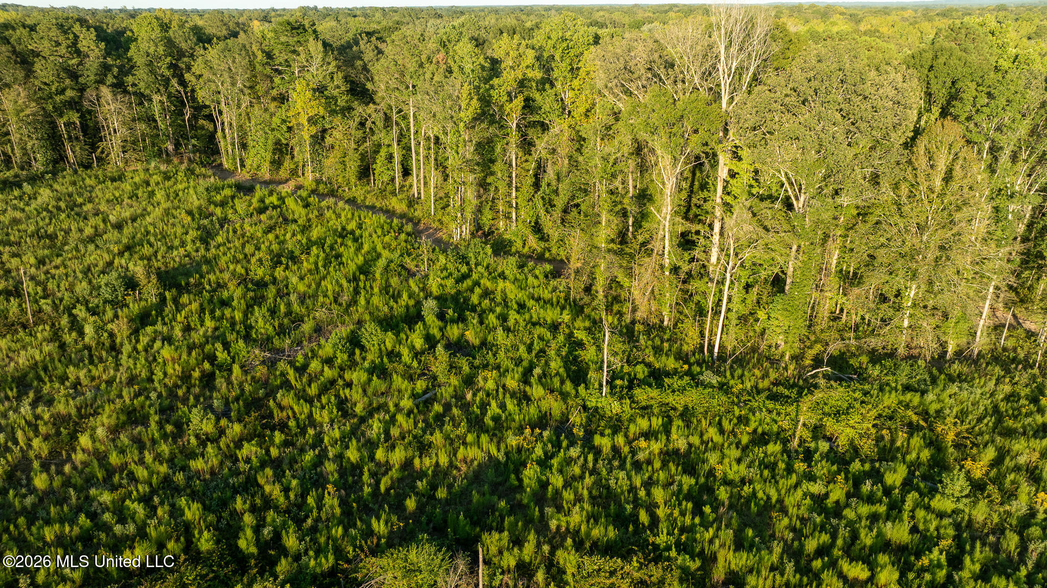 Owen Boone Rd Property Photo 39