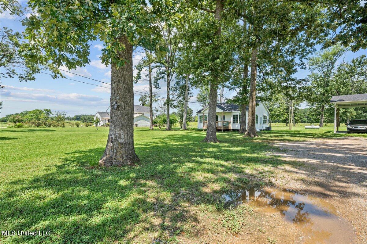 1951 E 3rd Street Property Photo 66