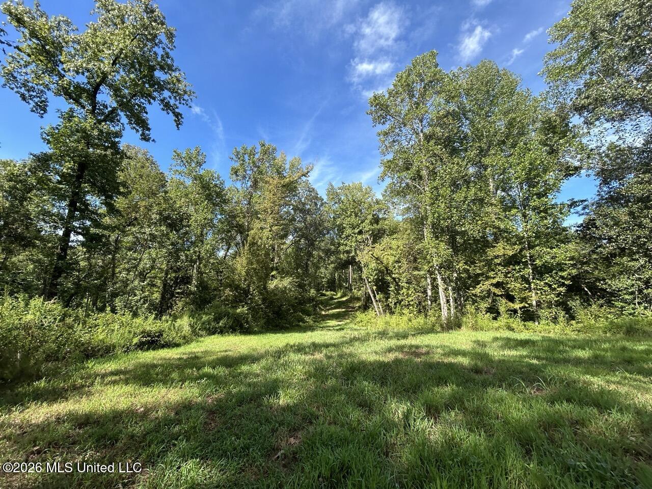 151 Church Hill Road Property Photo 25