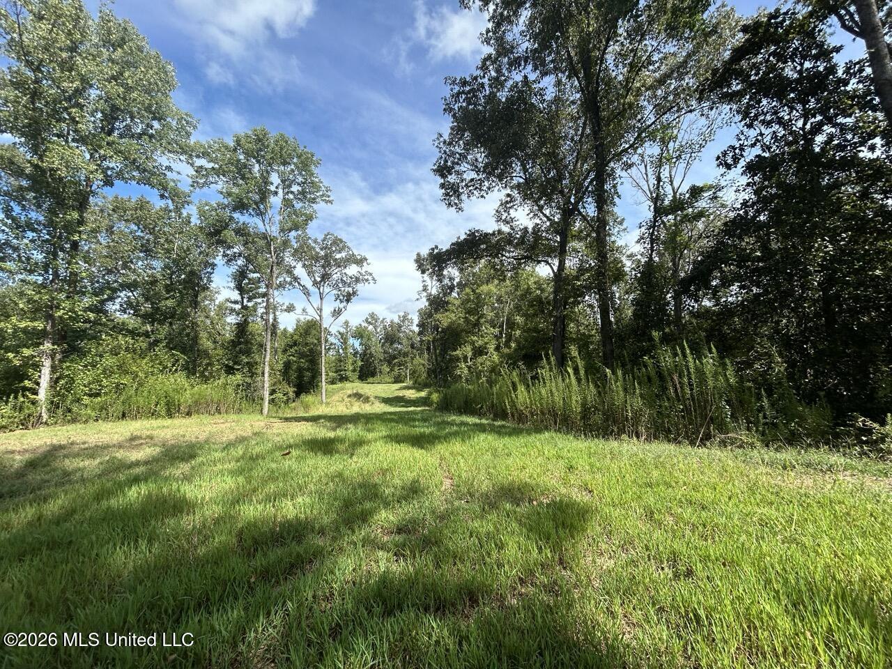 151 Church Hill Road Property Photo 29