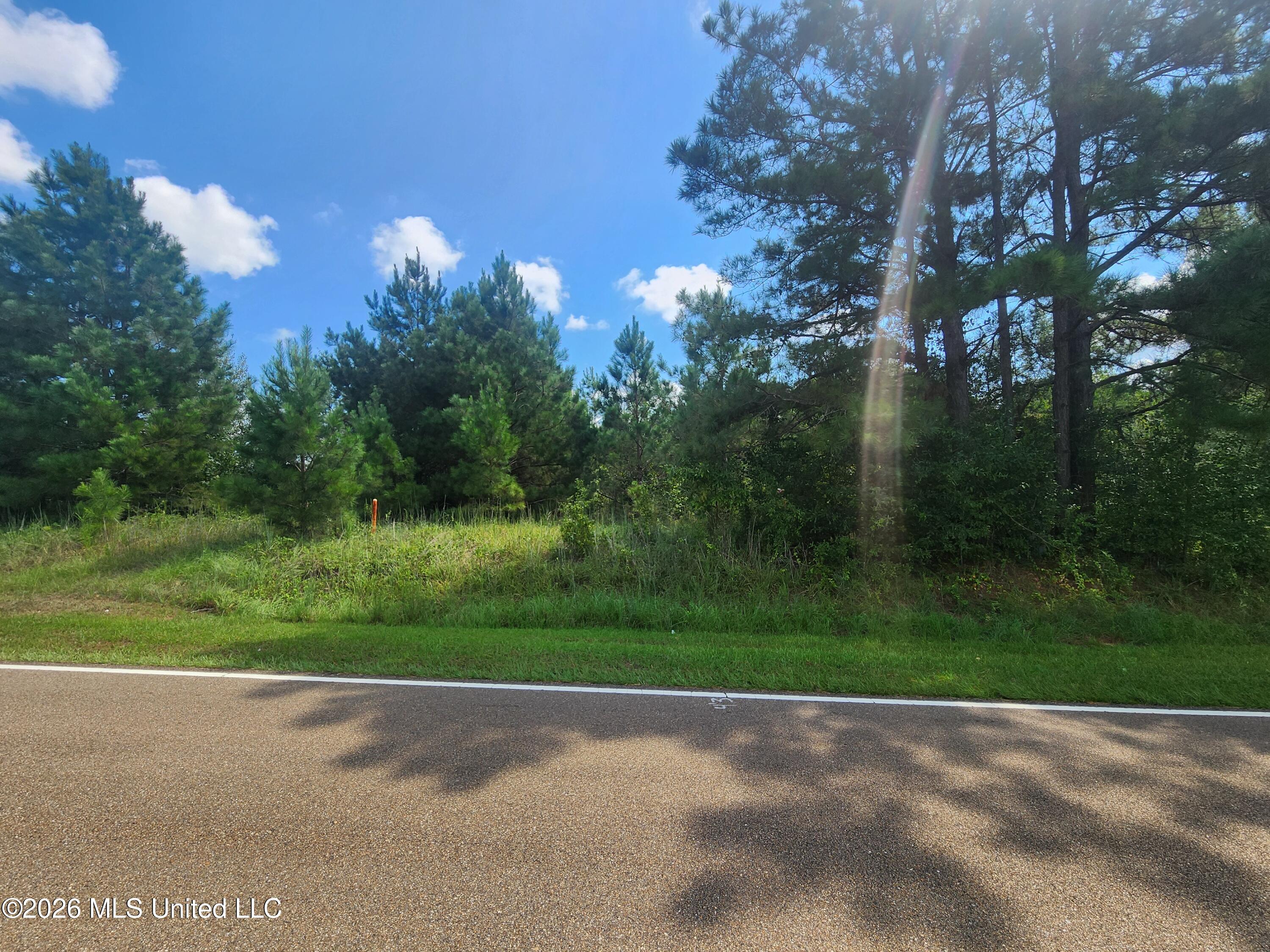 Ne Old Hwy 51 Property Photo 1