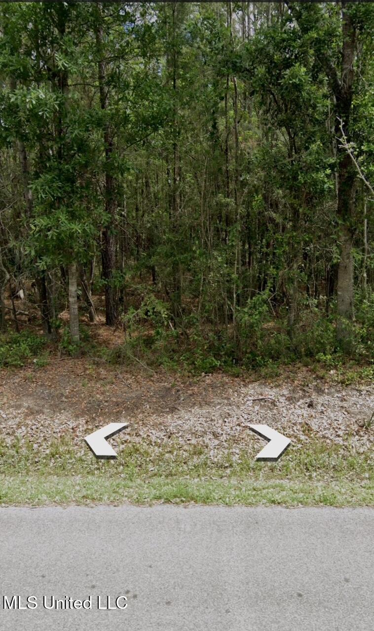 Joe's Bayou Rd Property Photo 4