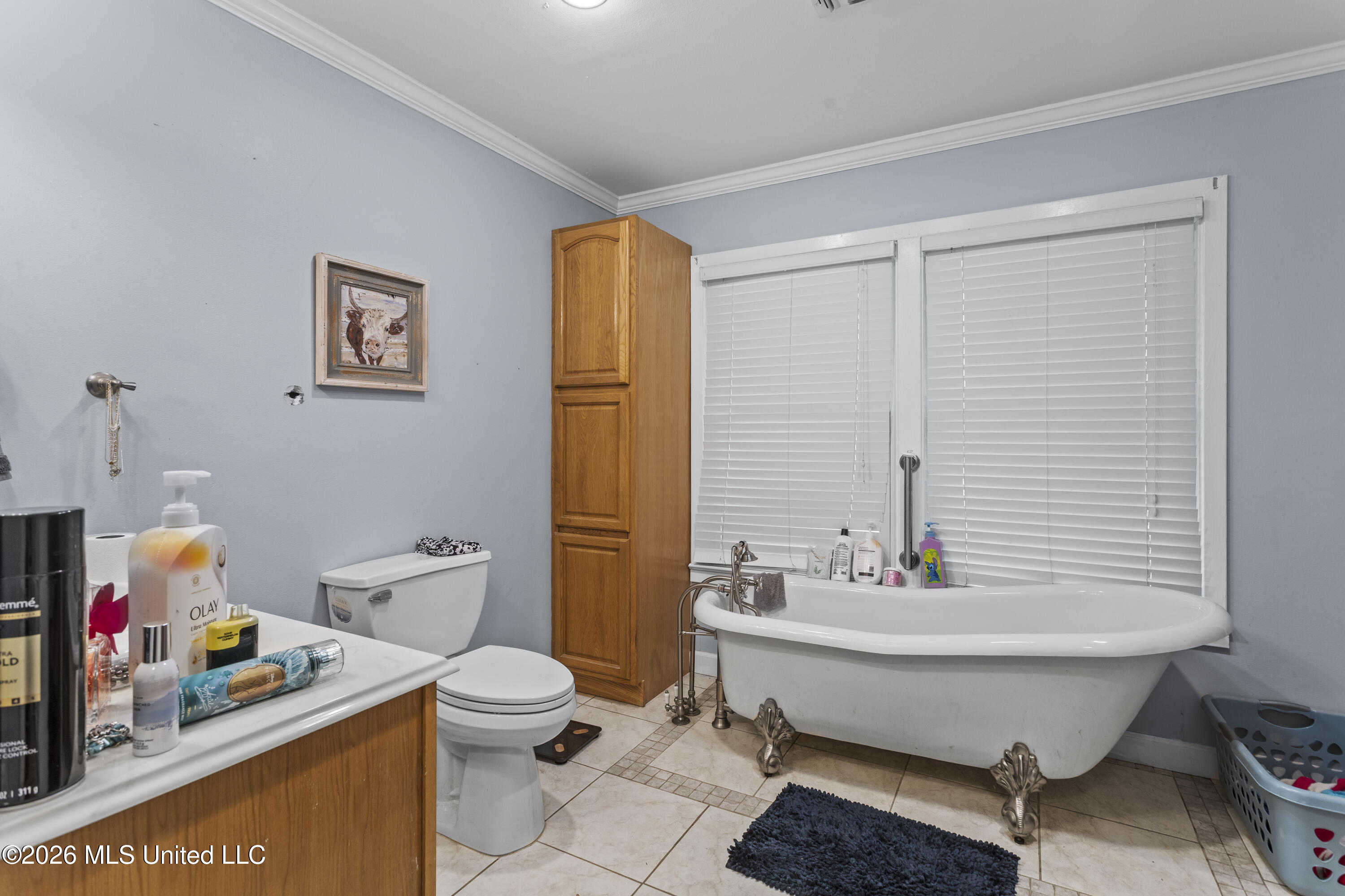 345 Balmoral Road Property Photo 15