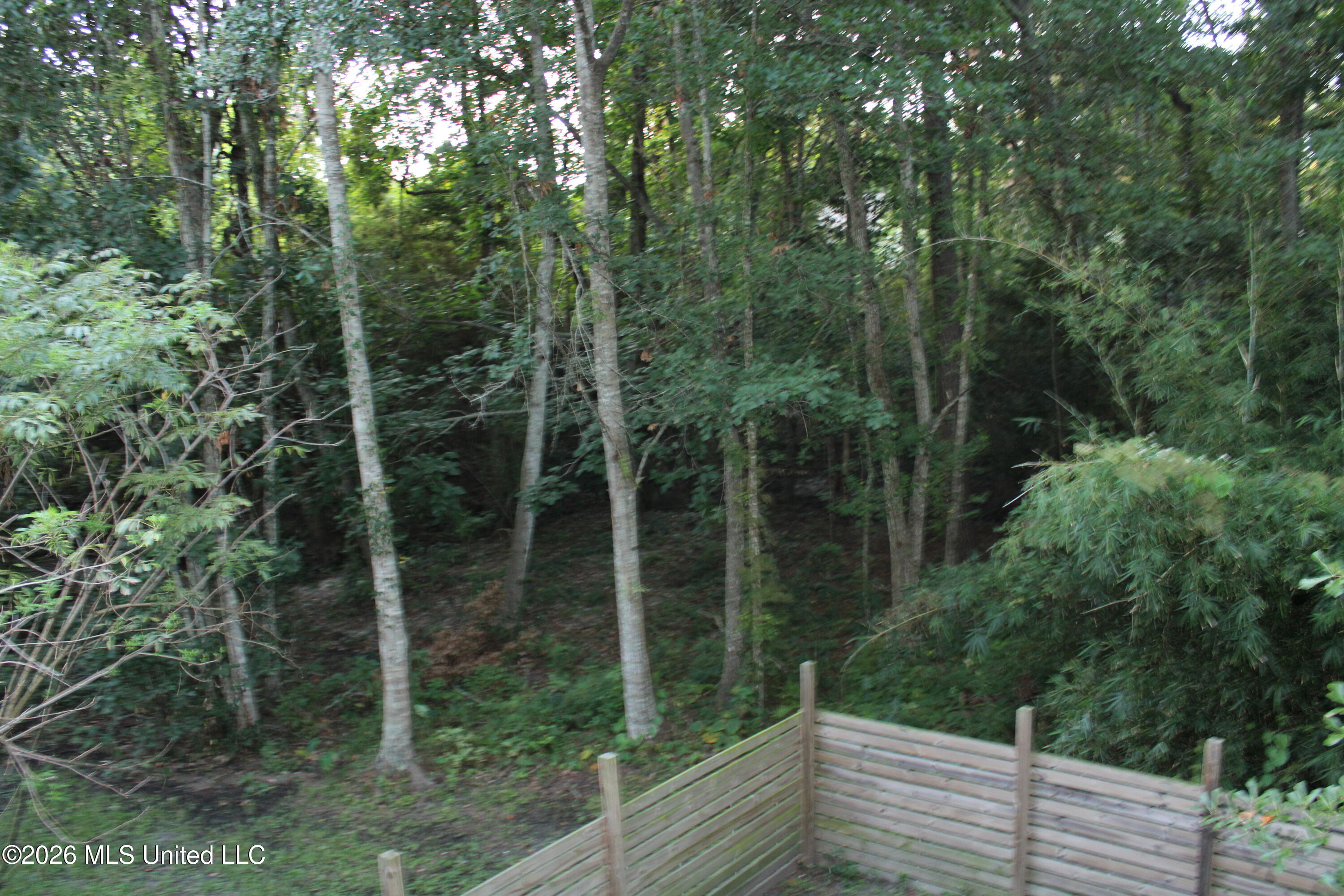 1325 Iberville Drive Property Photo 8