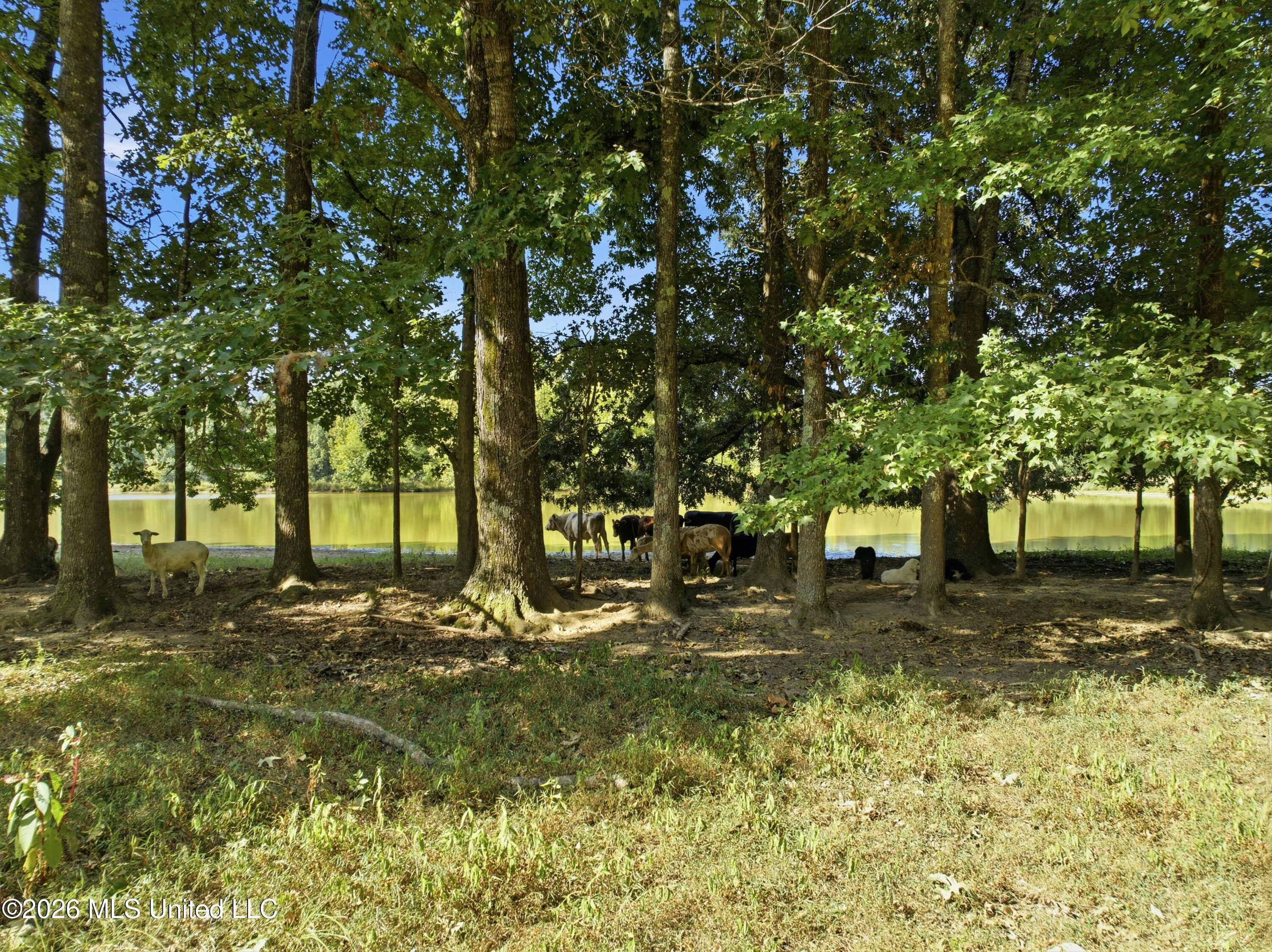 2208 Bend Road Property Photo 18