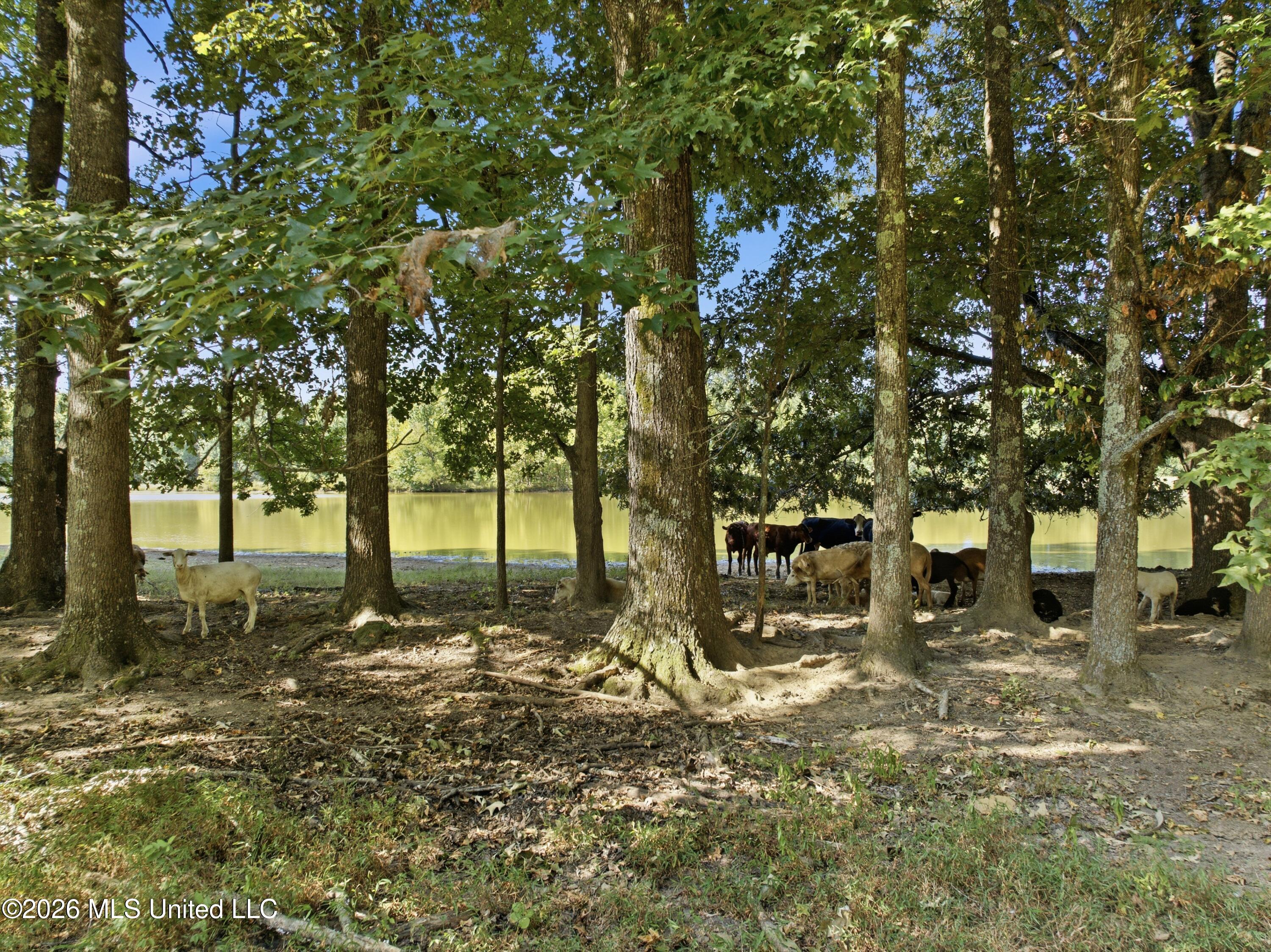 2208 Bend Road Property Photo 26
