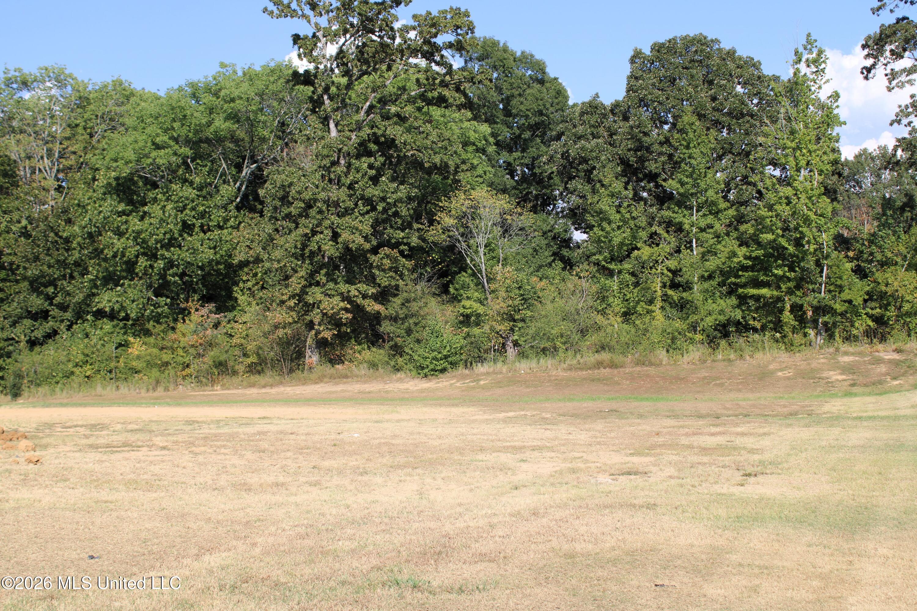 750 Red Cedar Loop Property Photo 4