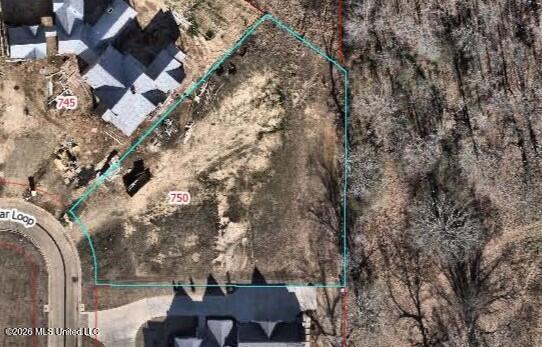 750 Red Cedar Loop Property Photo 13