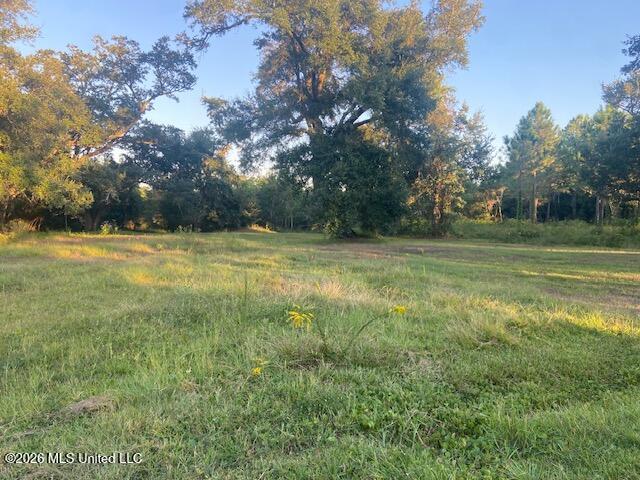 Sandy Hook Drive Property Photo 2