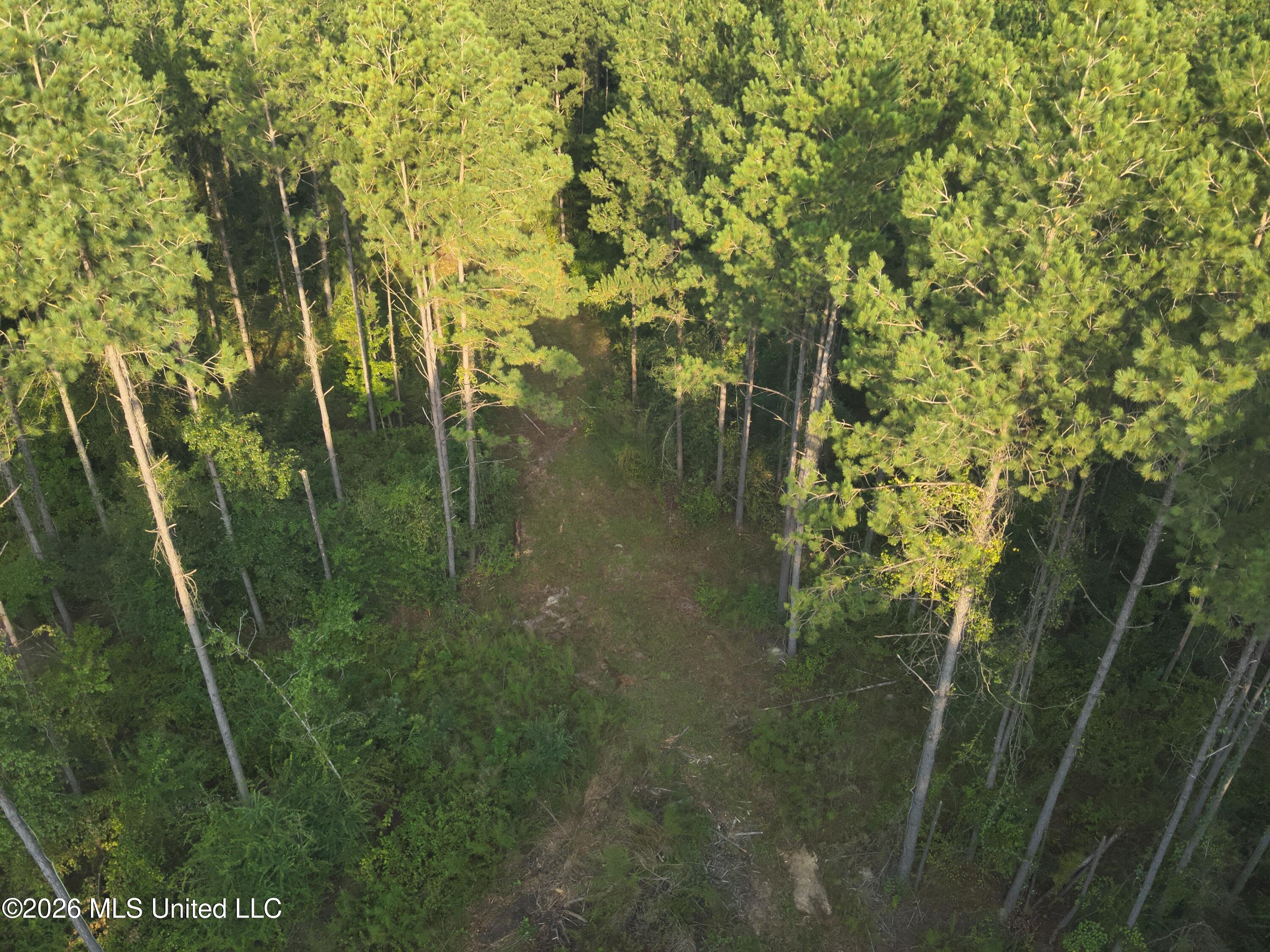 1178 Tolar Road Property Photo 1