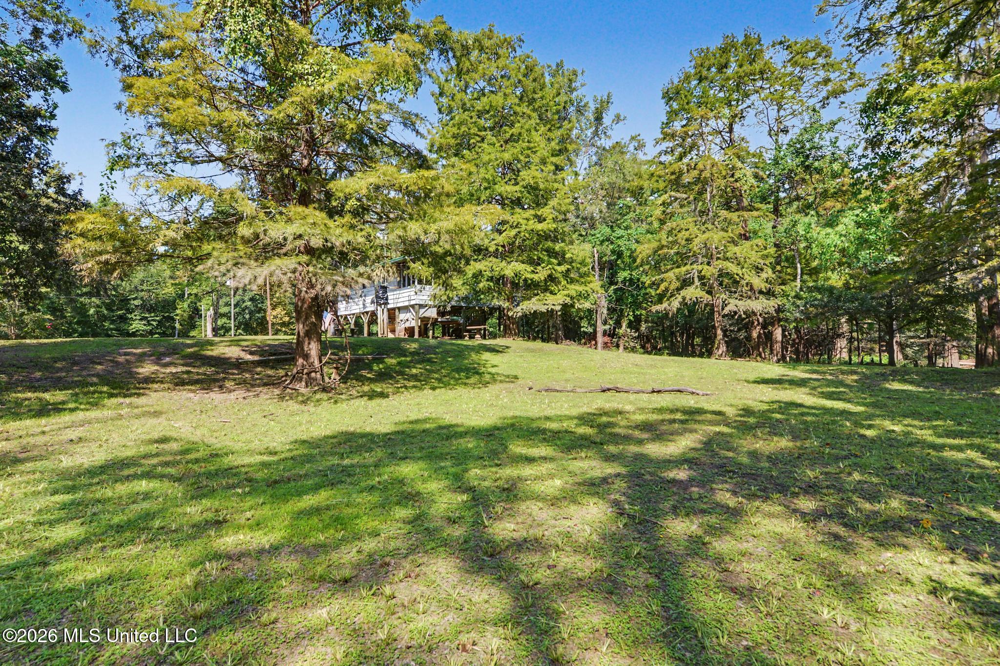 24720 Davis Dead River Drive Property Photo 19
