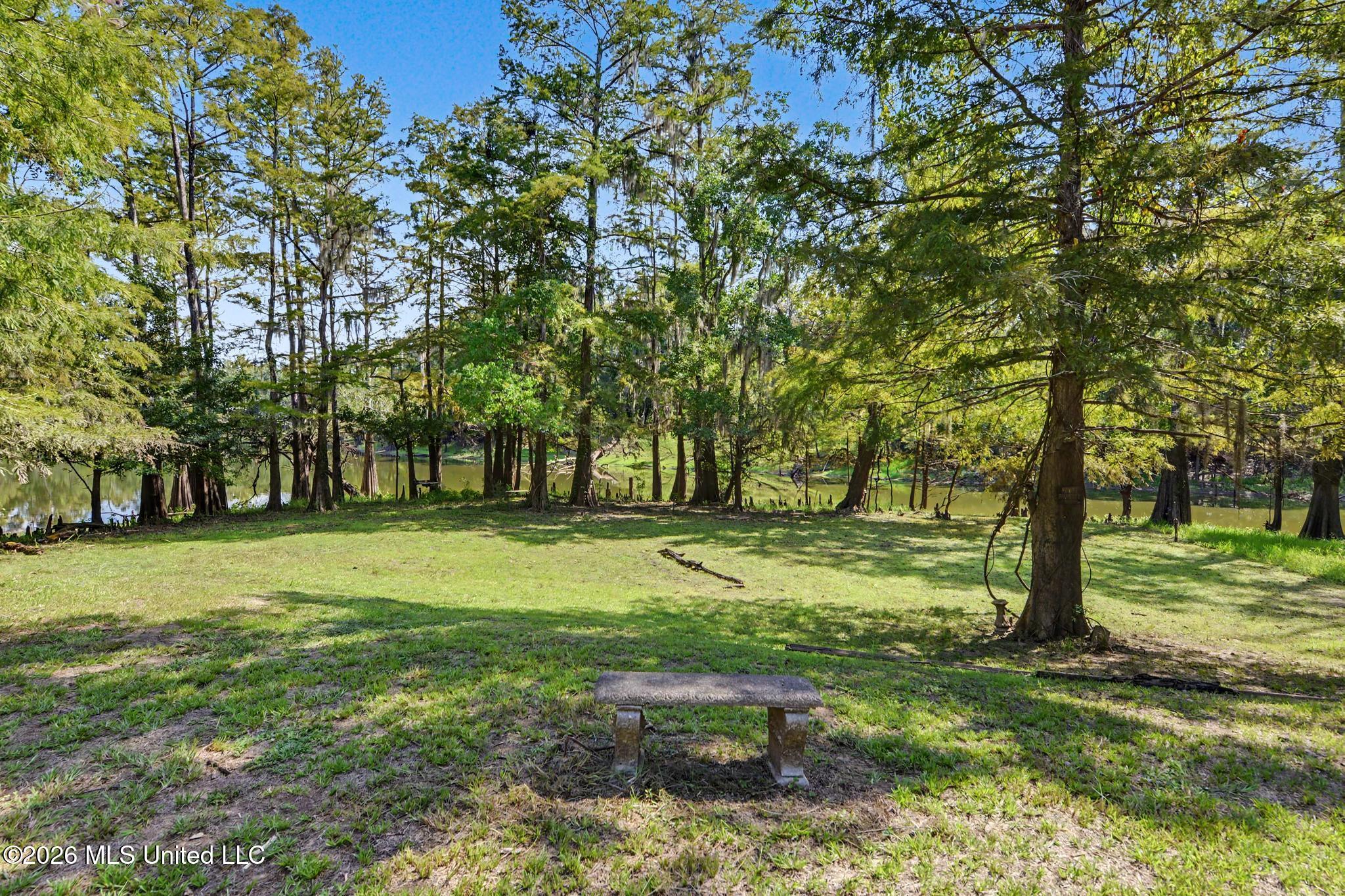 24720 Davis Dead River Drive Property Photo 20