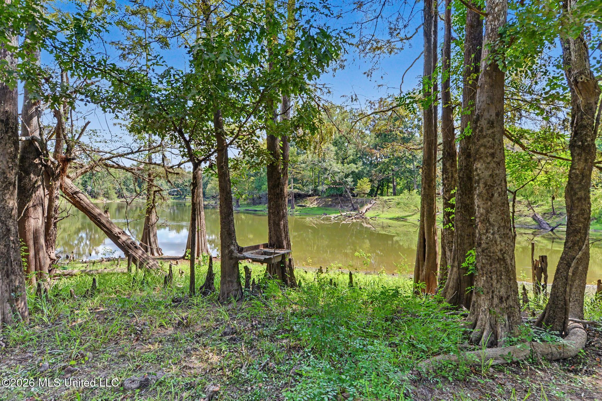 24720 Davis Dead River Drive Property Photo 21
