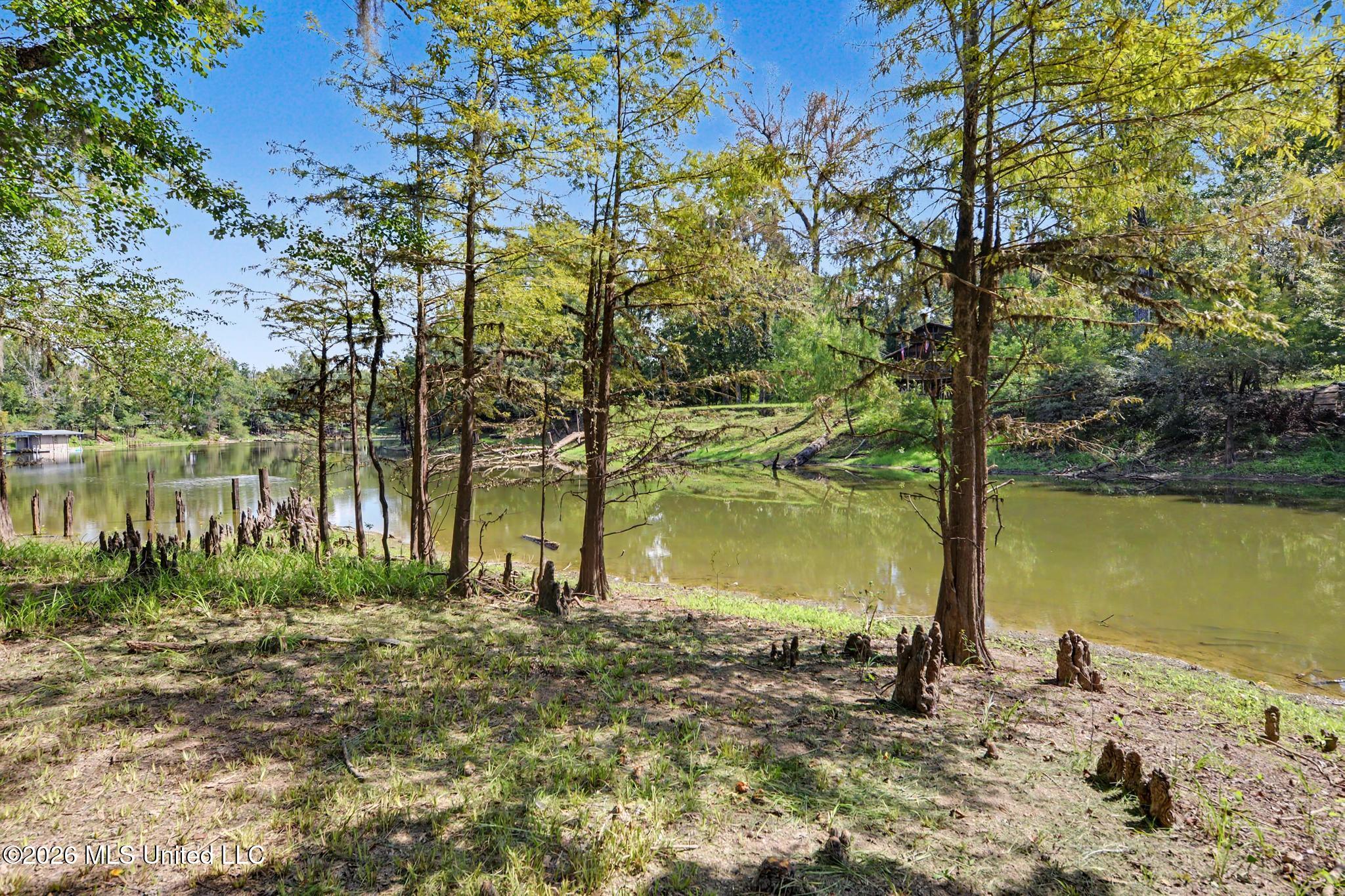 24720 Davis Dead River Drive Property Photo 22