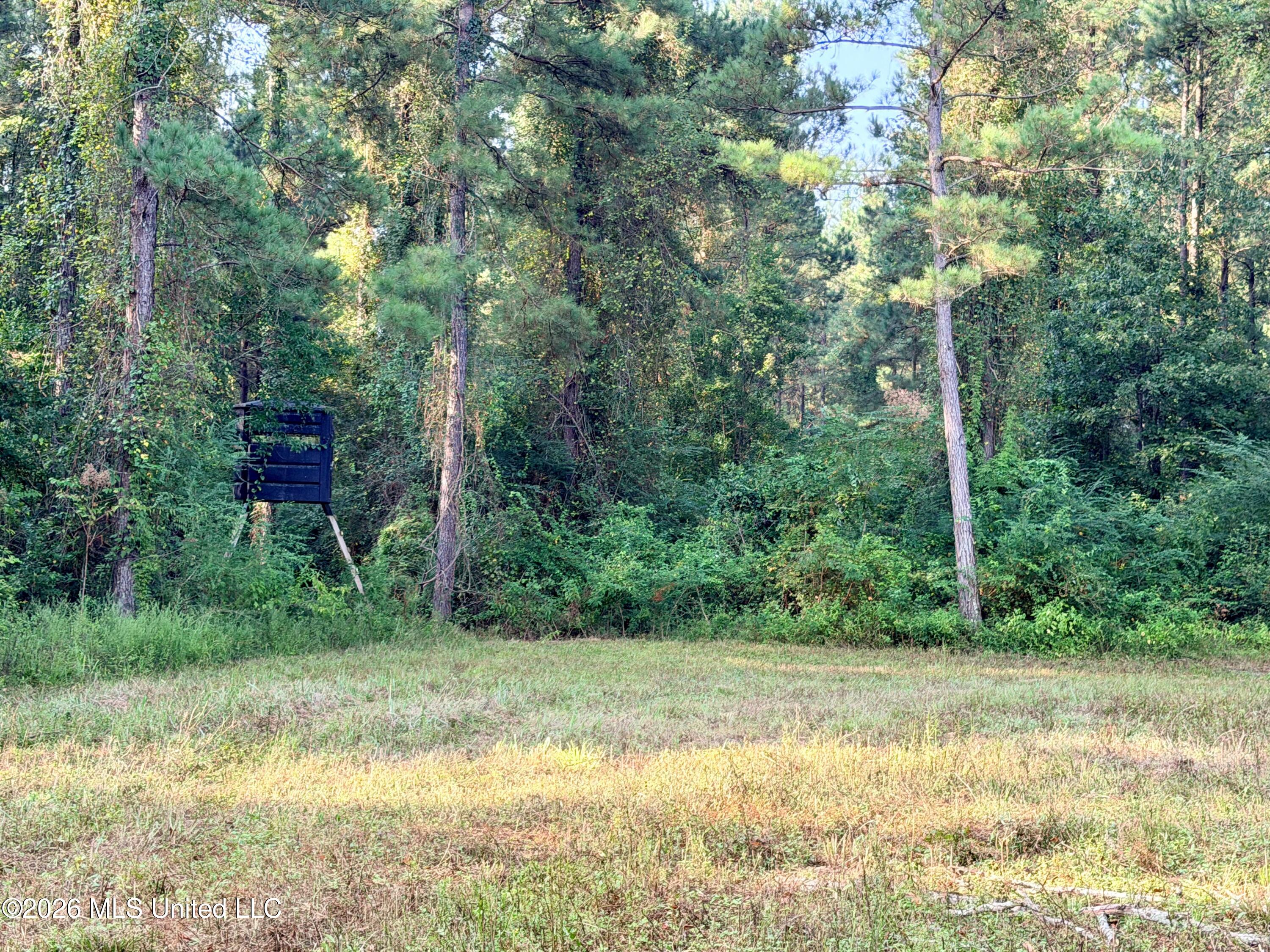 220 Ms-43 Property Photo 5