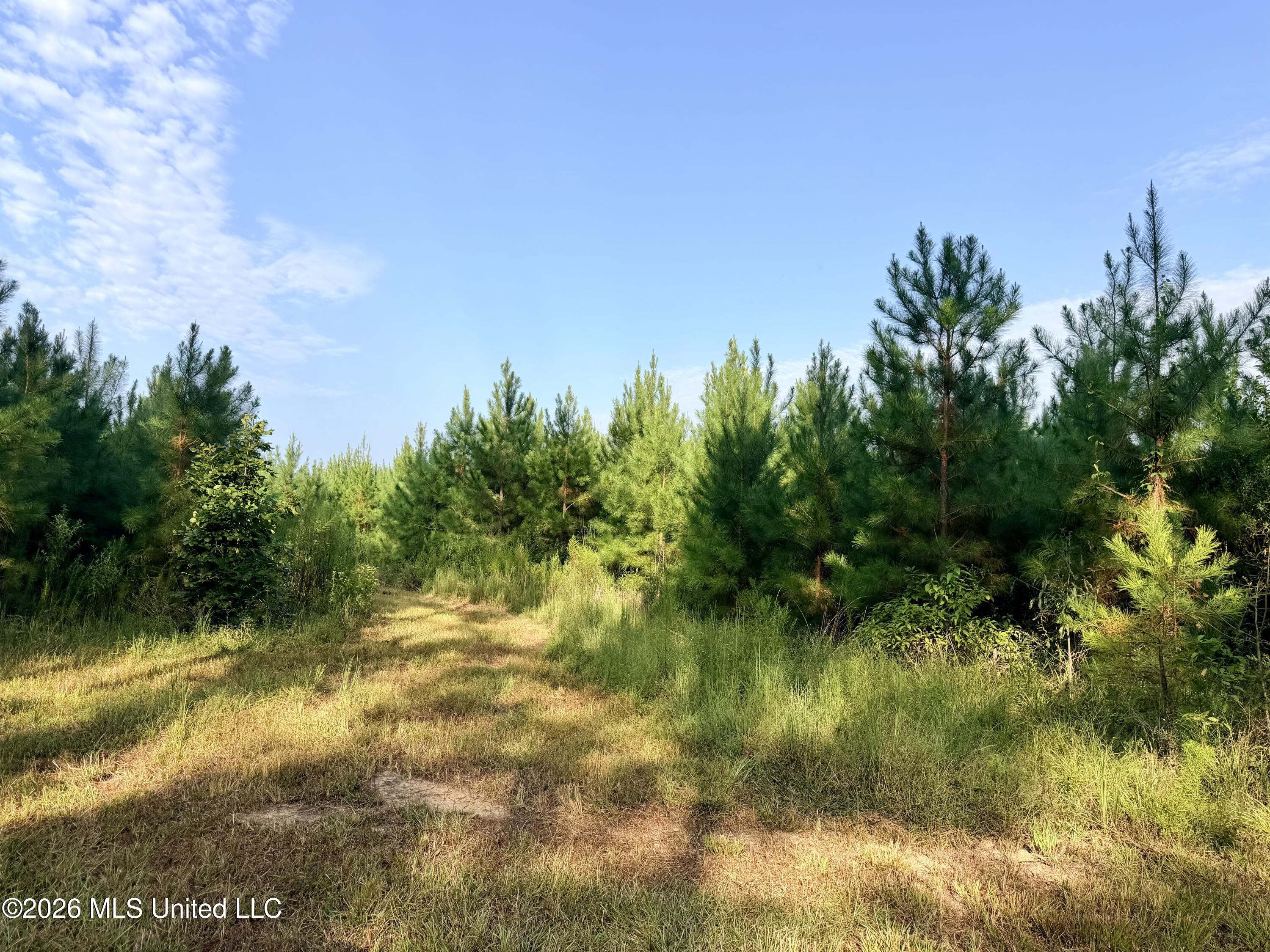 220 Ms-43 Property Photo 8