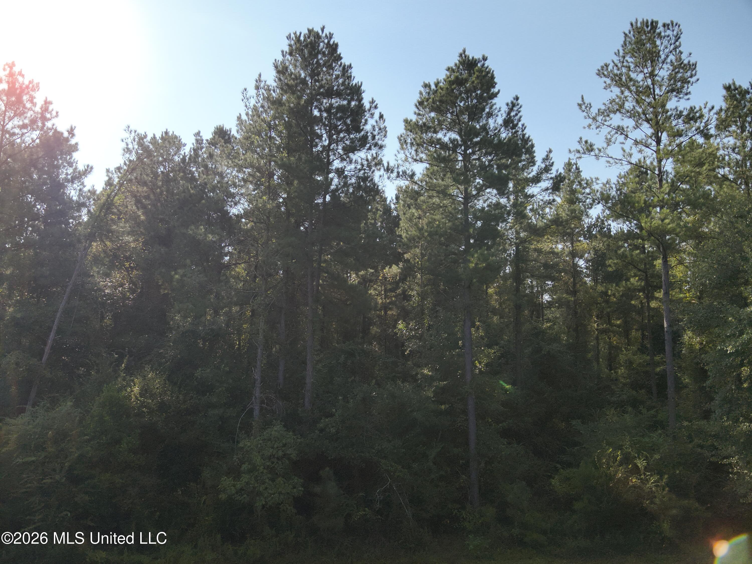 220 Ms-43 Property Photo 22