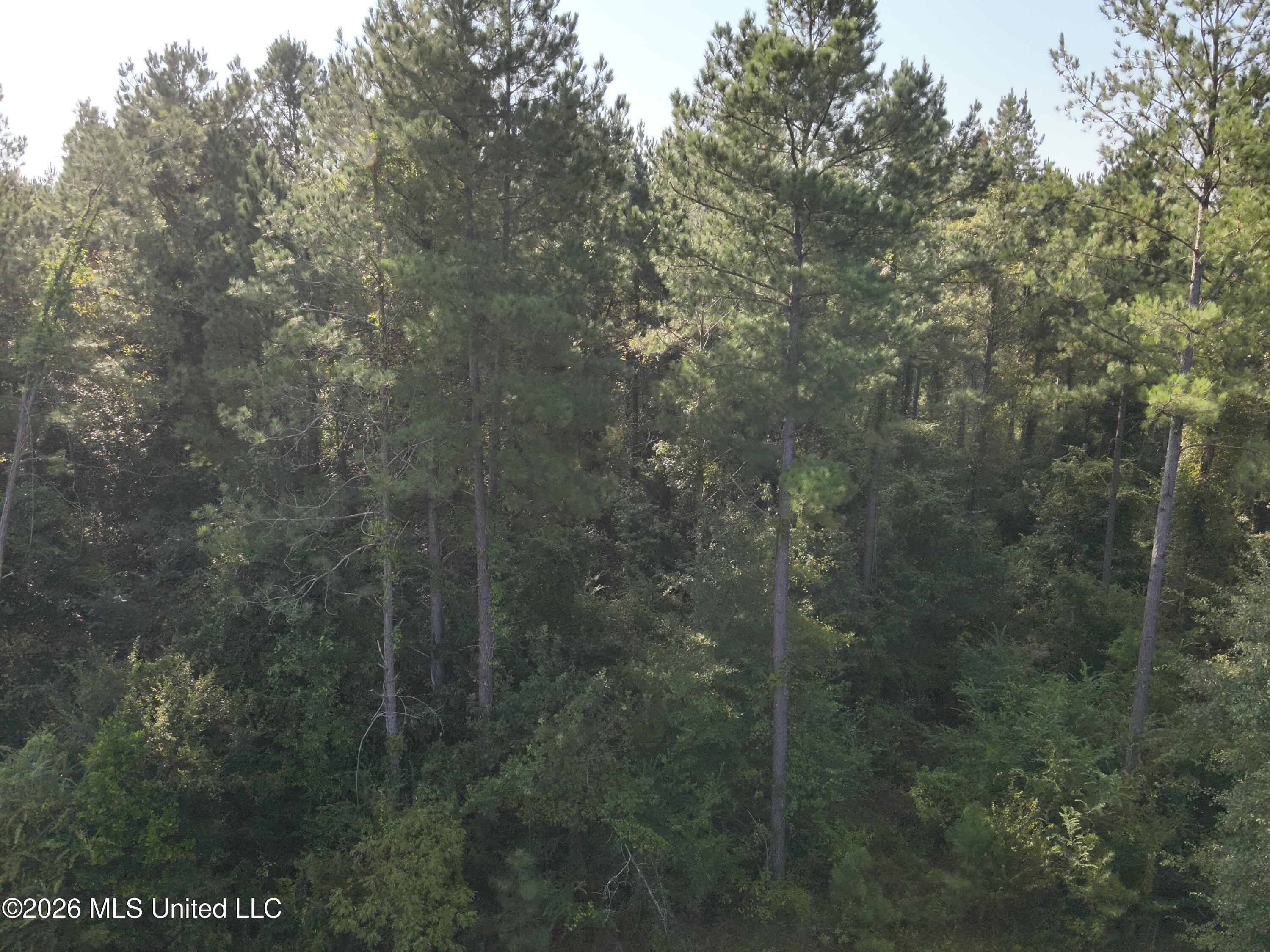 220 Ms-43 Property Photo 23