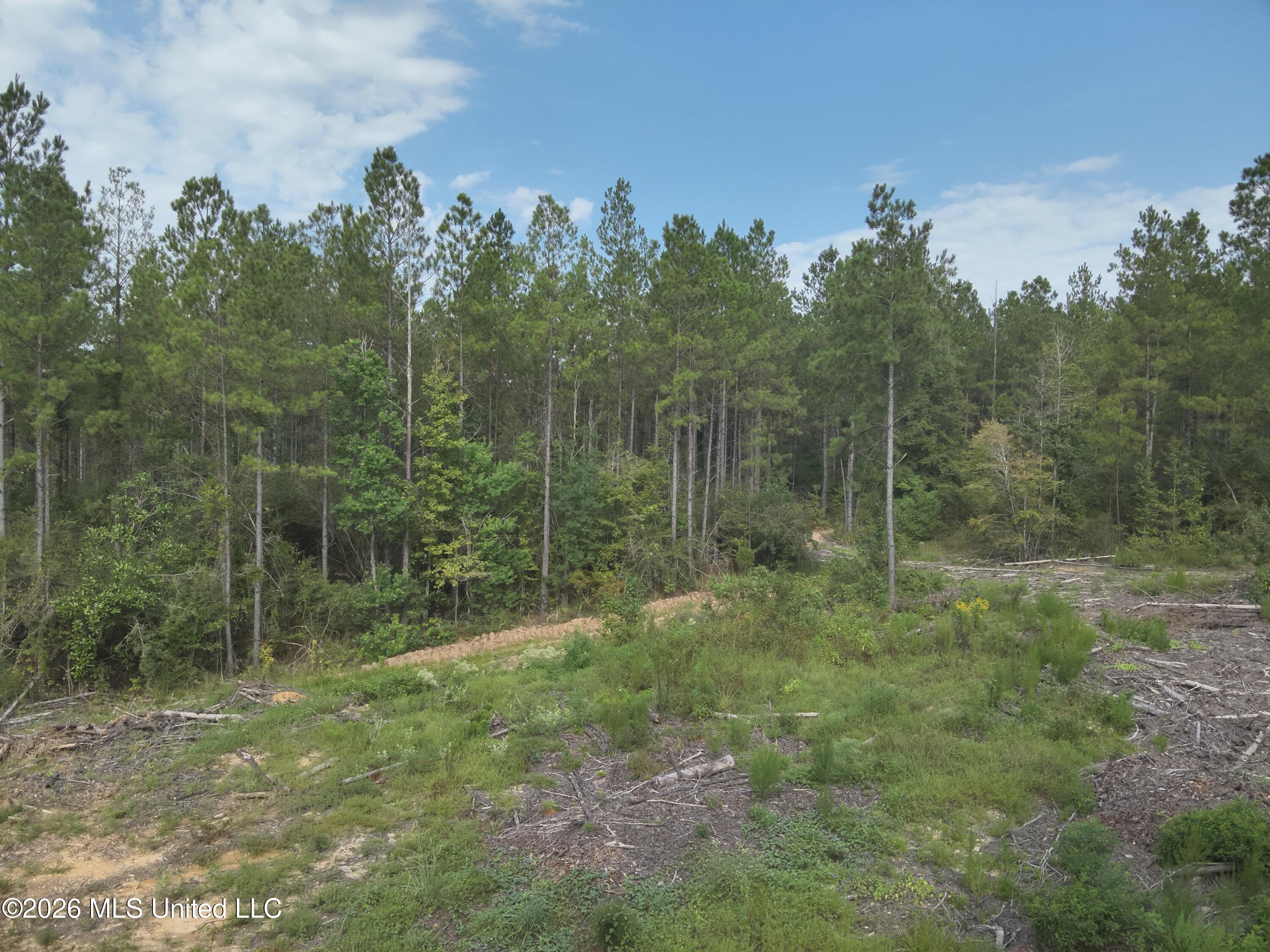 769 Ms-43 Property Photo 1