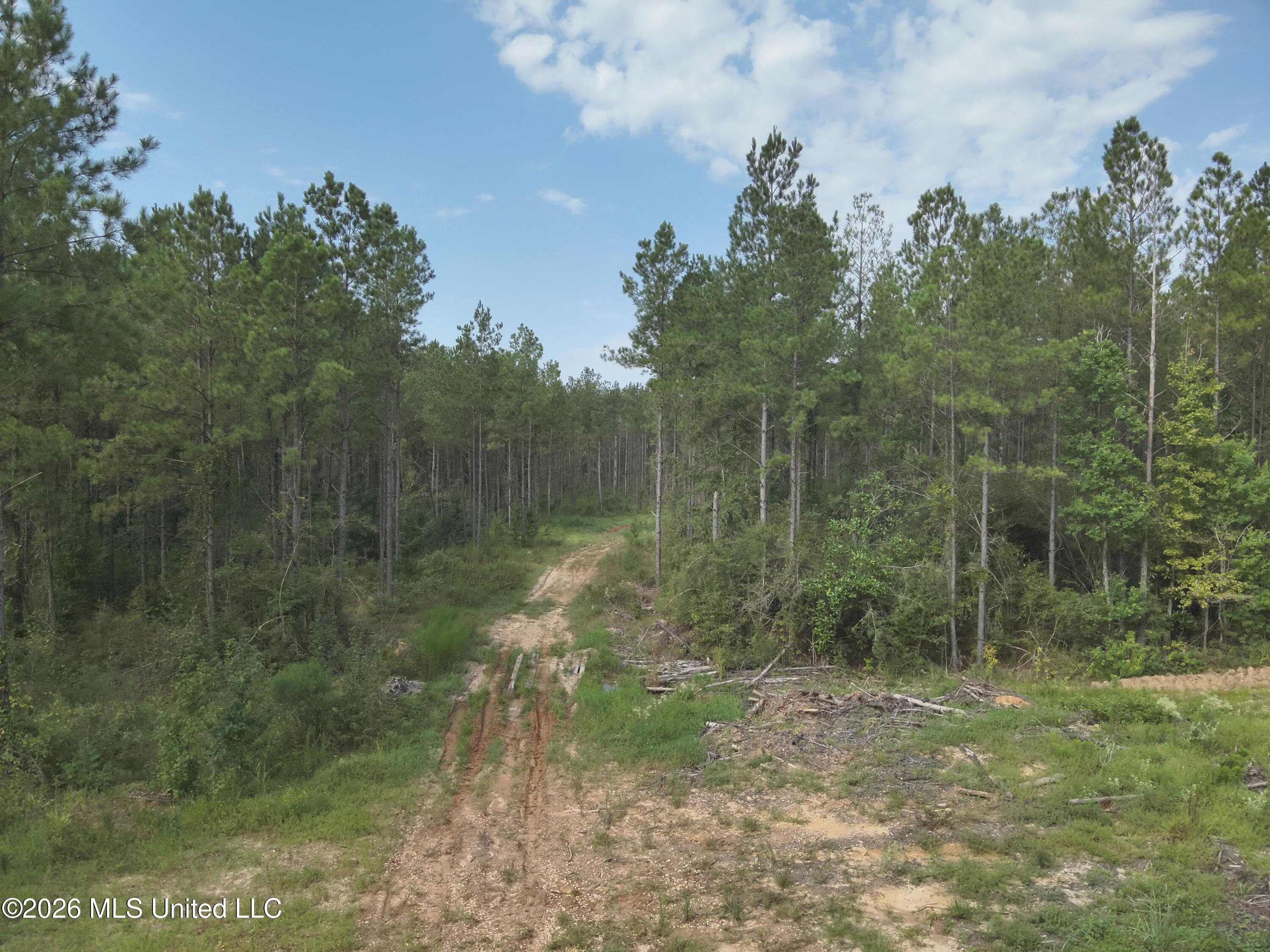 769 Ms-43 Property Photo 2