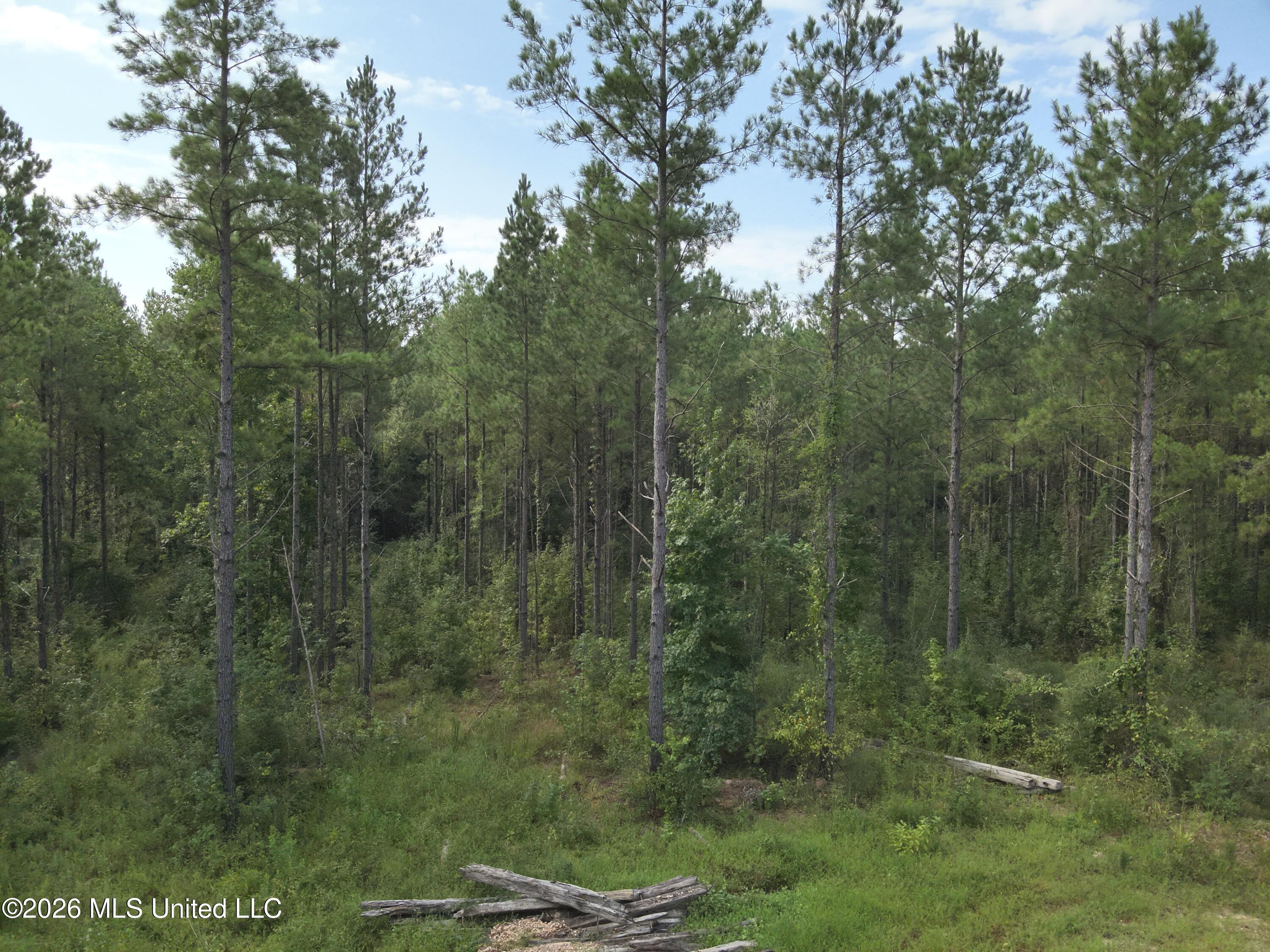 769 Ms-43 Property Photo 3