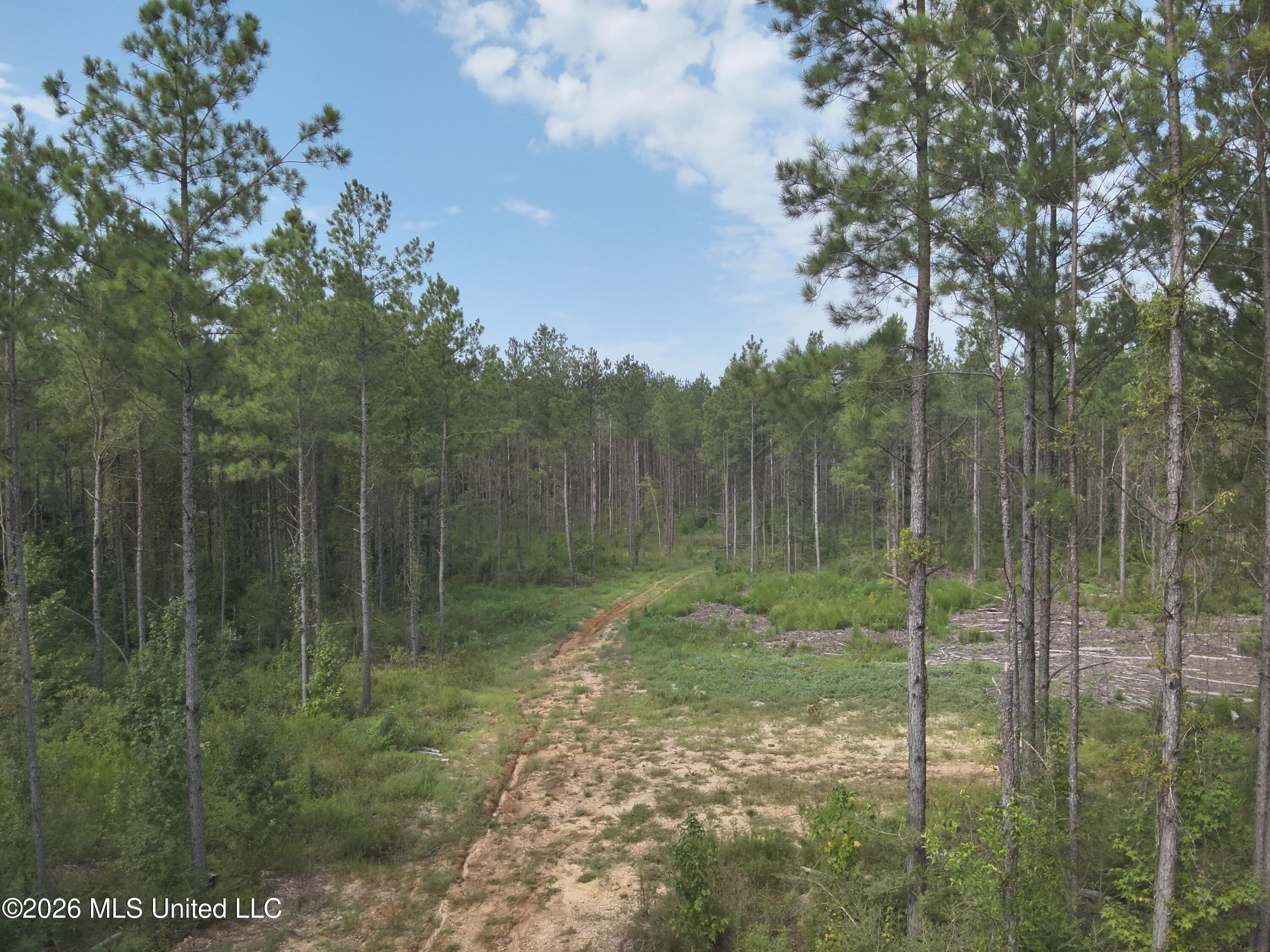 769 Ms-43 Property Photo 4