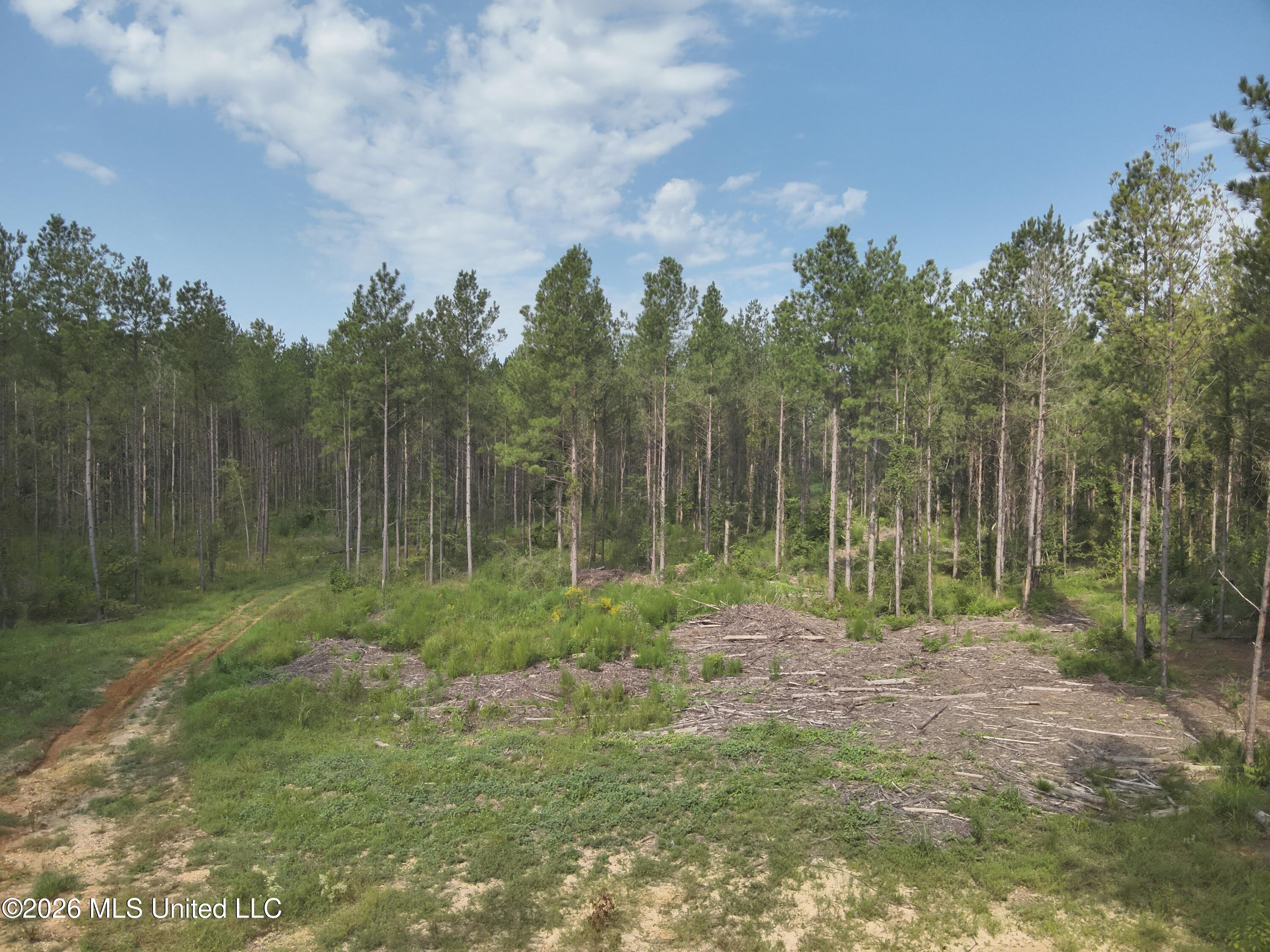 769 Ms-43 Property Photo 5