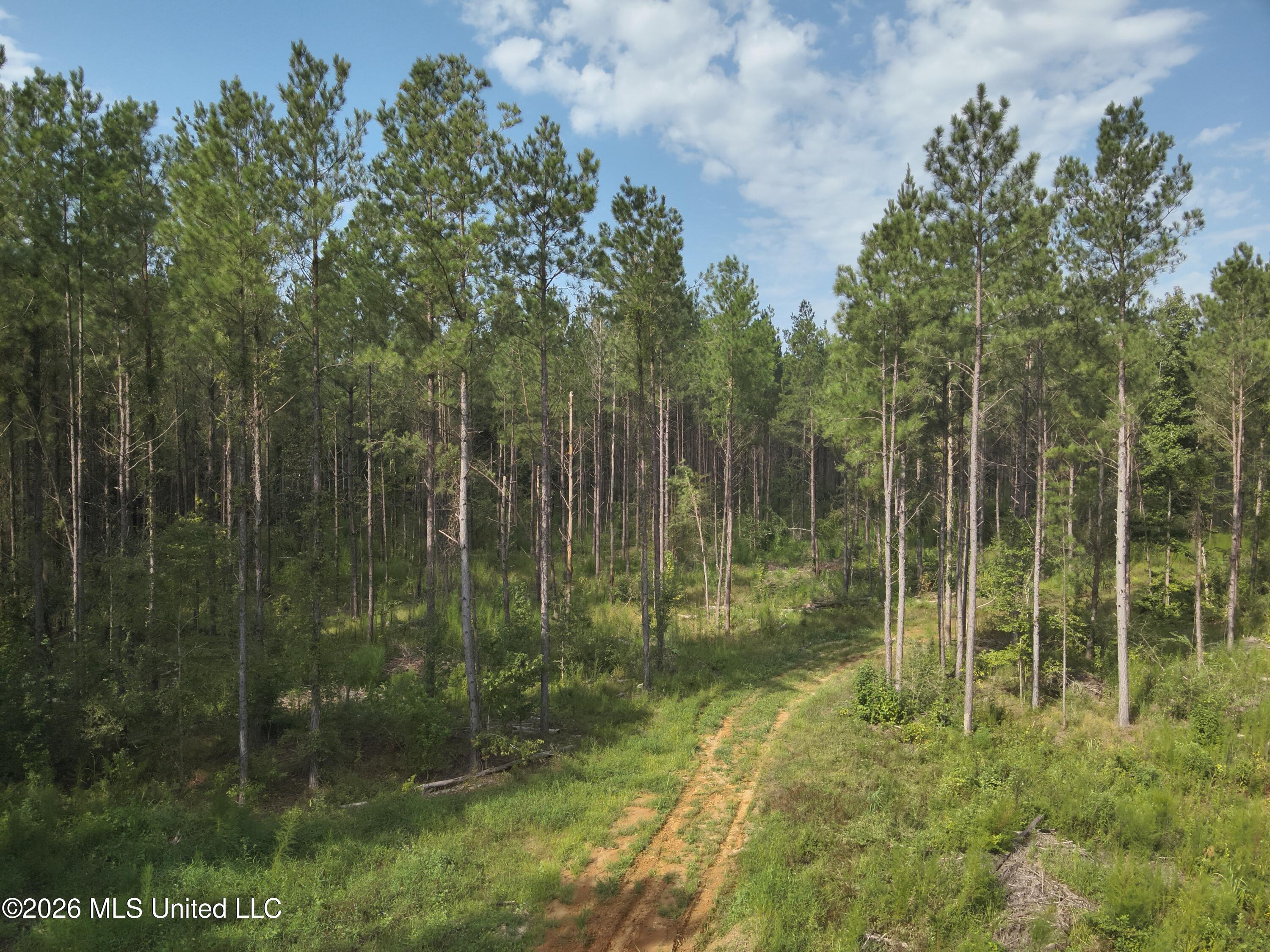 769 Ms-43 Property Photo 6