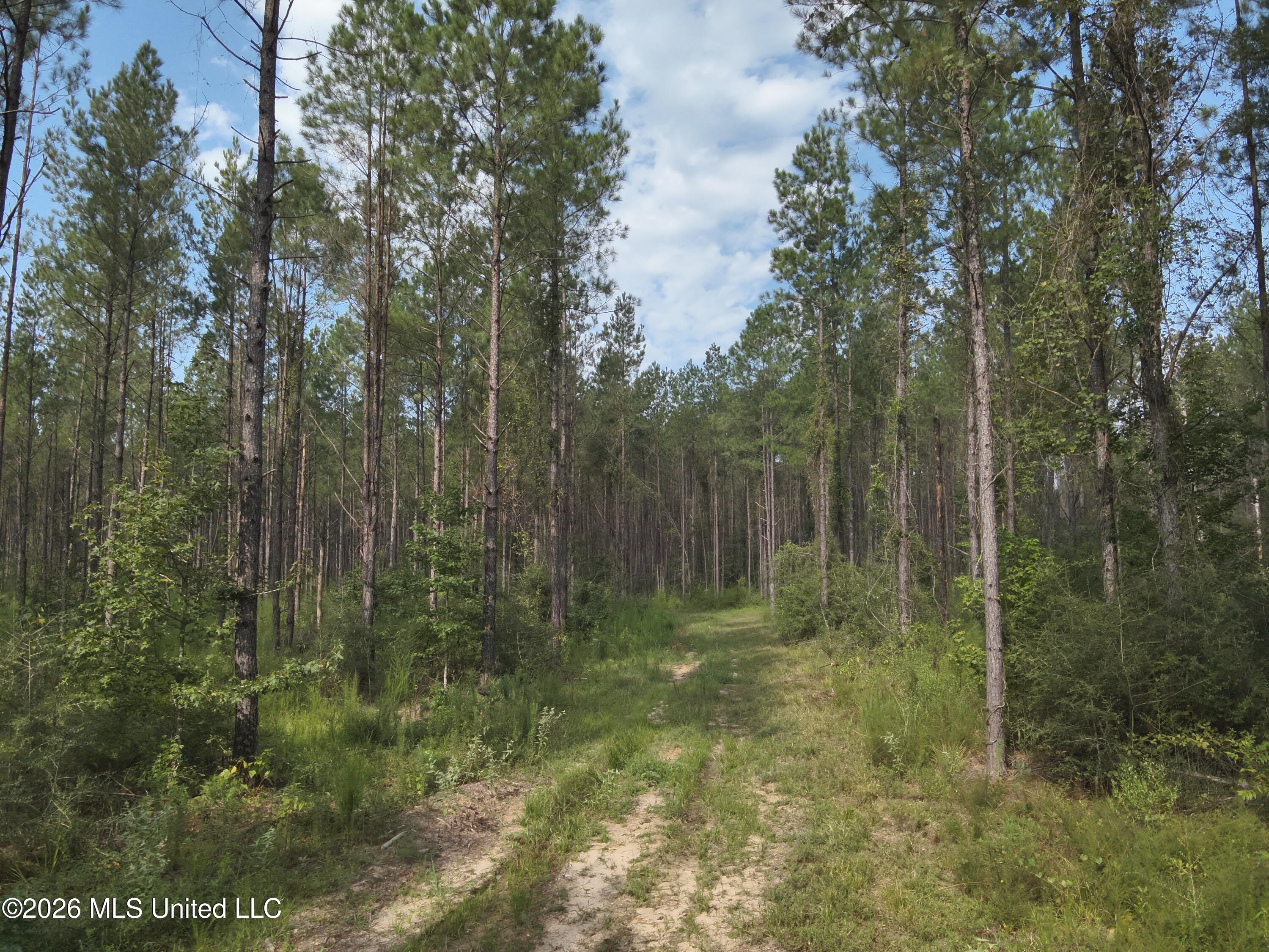 769 Ms-43 Property Photo 8