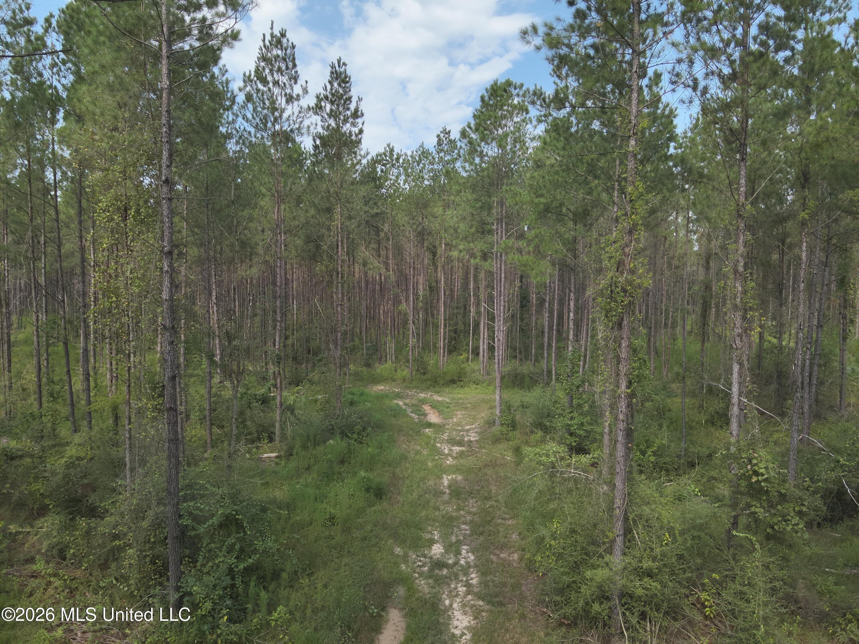 769 Ms-43 Property Photo 9