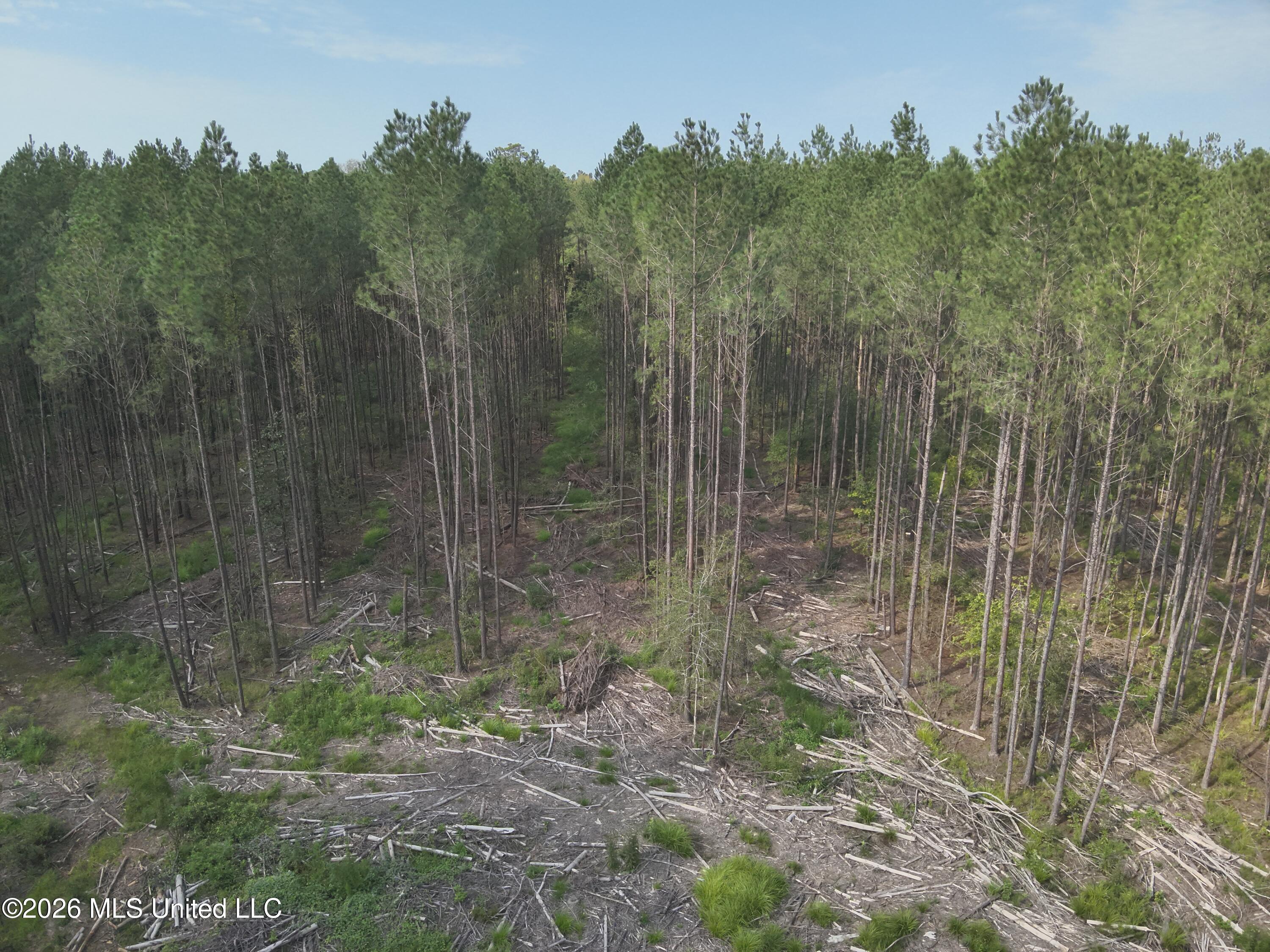 769 Ms-43 Property Photo 11