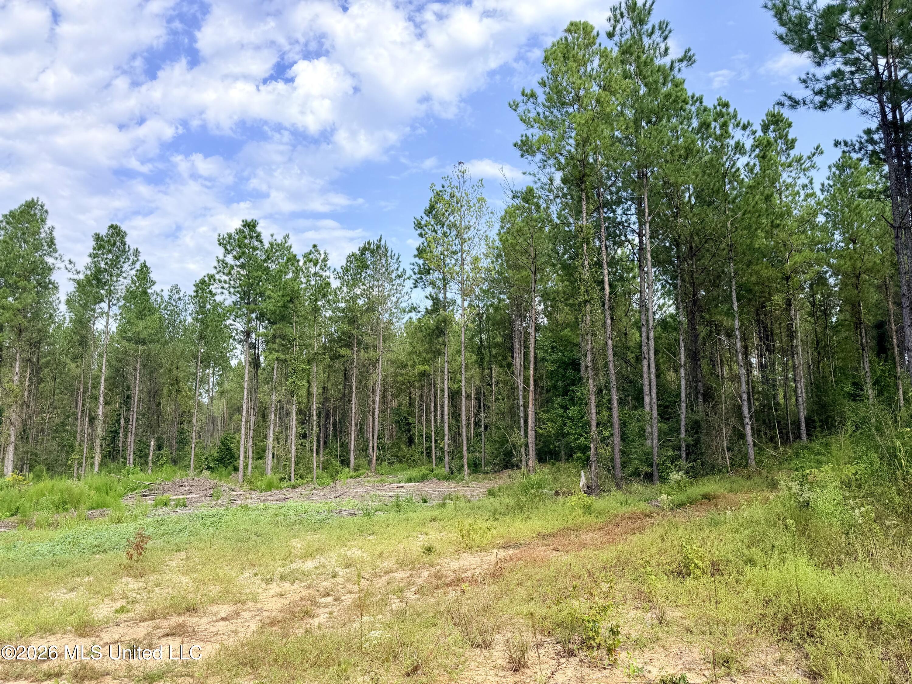 769 Ms-43 Property Photo 12
