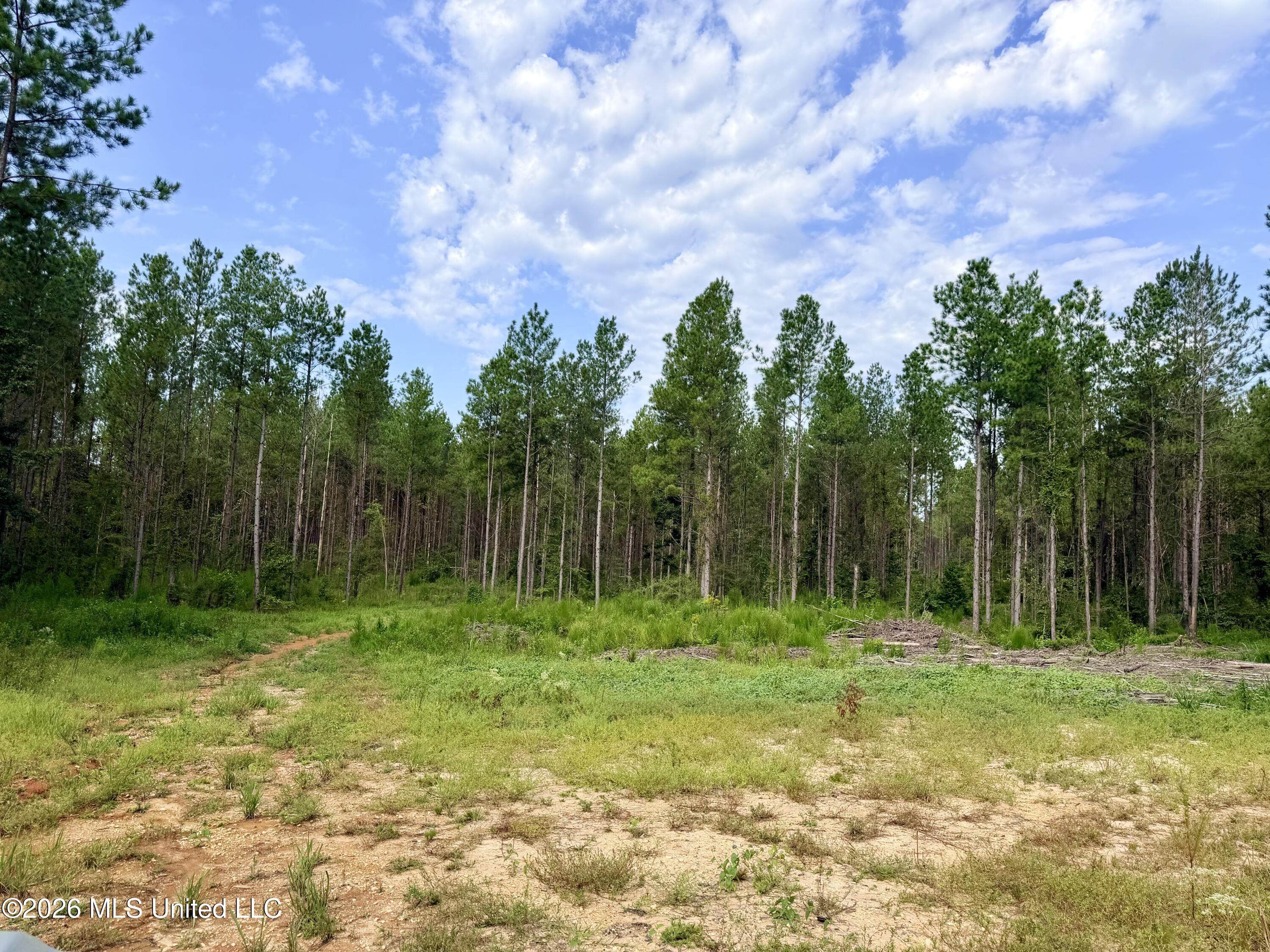 769 Ms-43 Property Photo 14