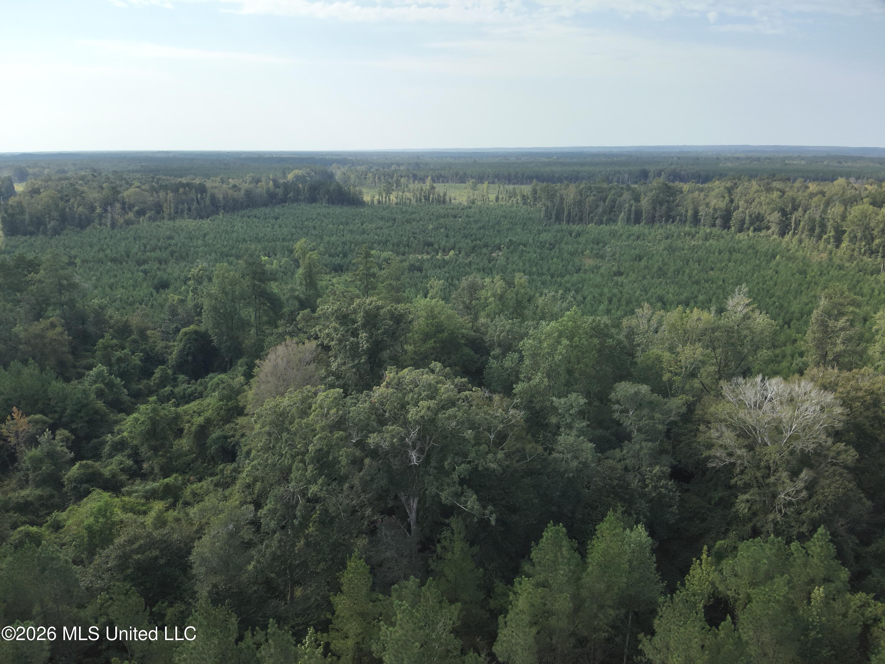 769 Ms-43 Property Photo 18