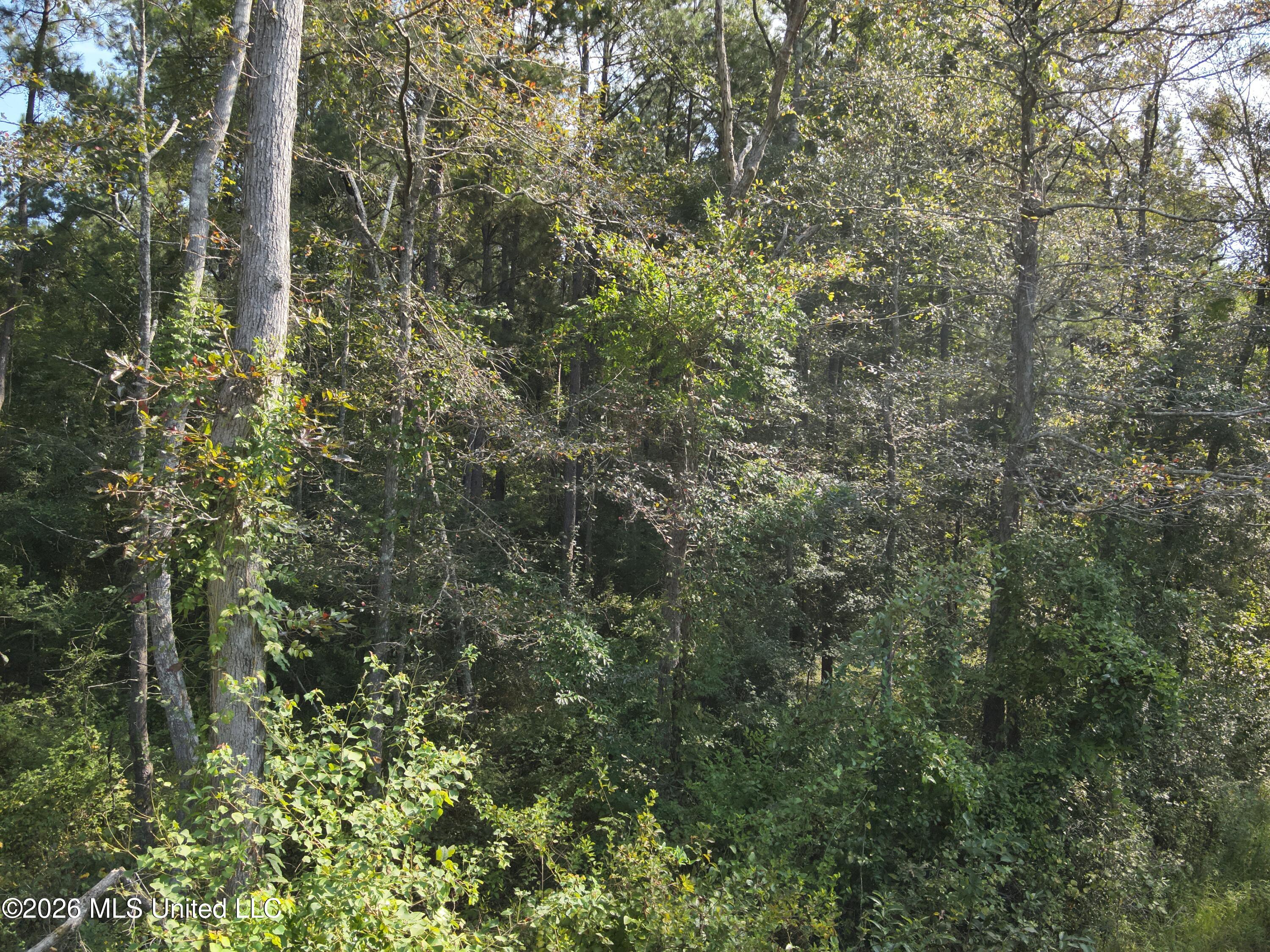 Jw Jones Property Photo 3