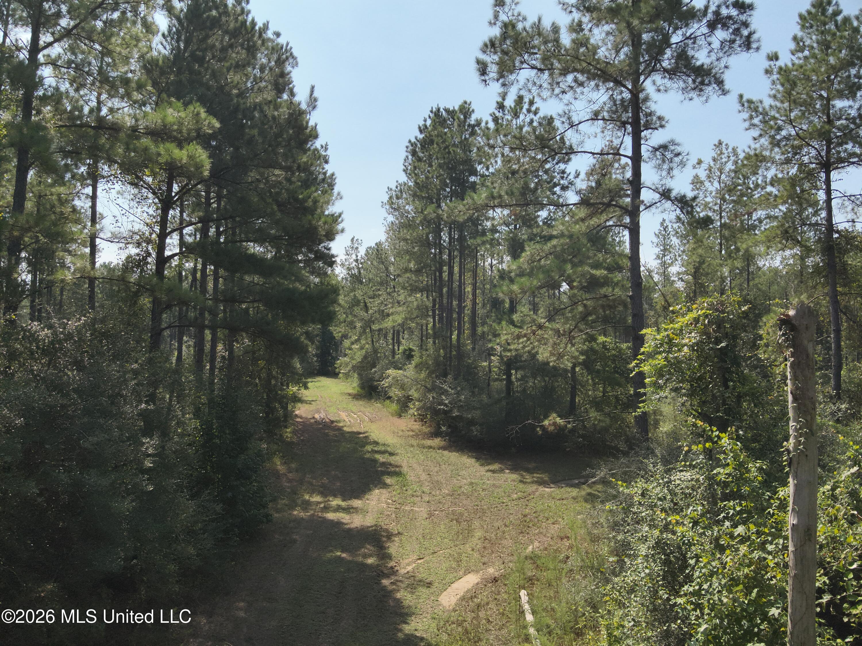 40 J W Jones Road Property Photo 1