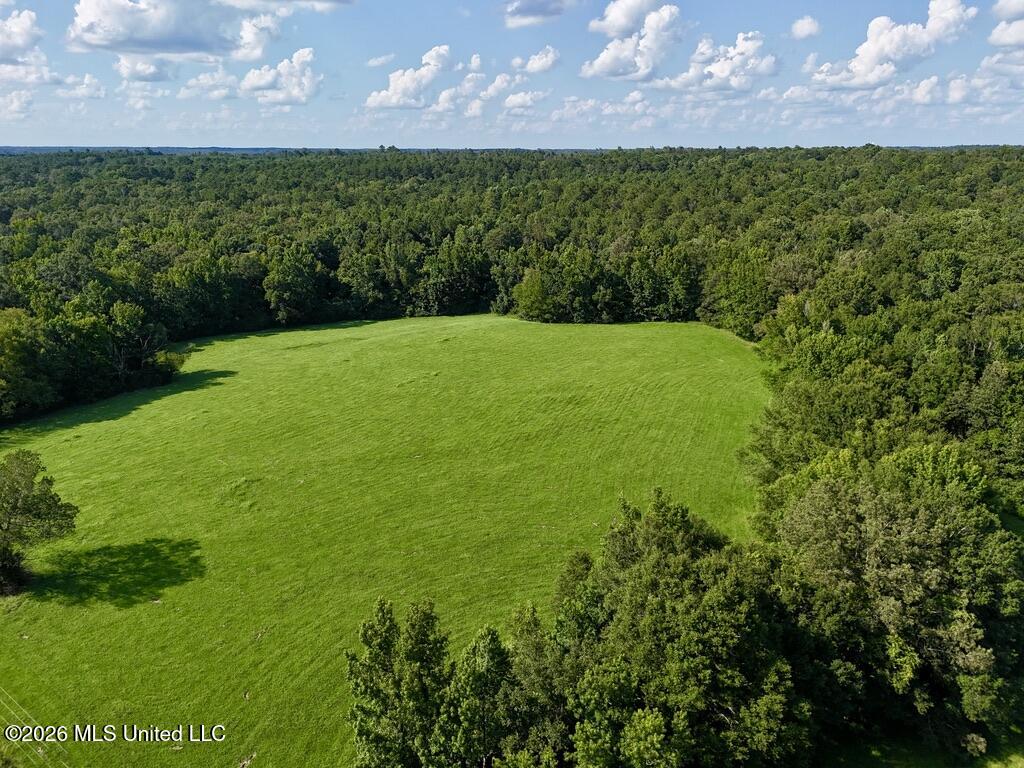006 Monticello Road Property Photo 2