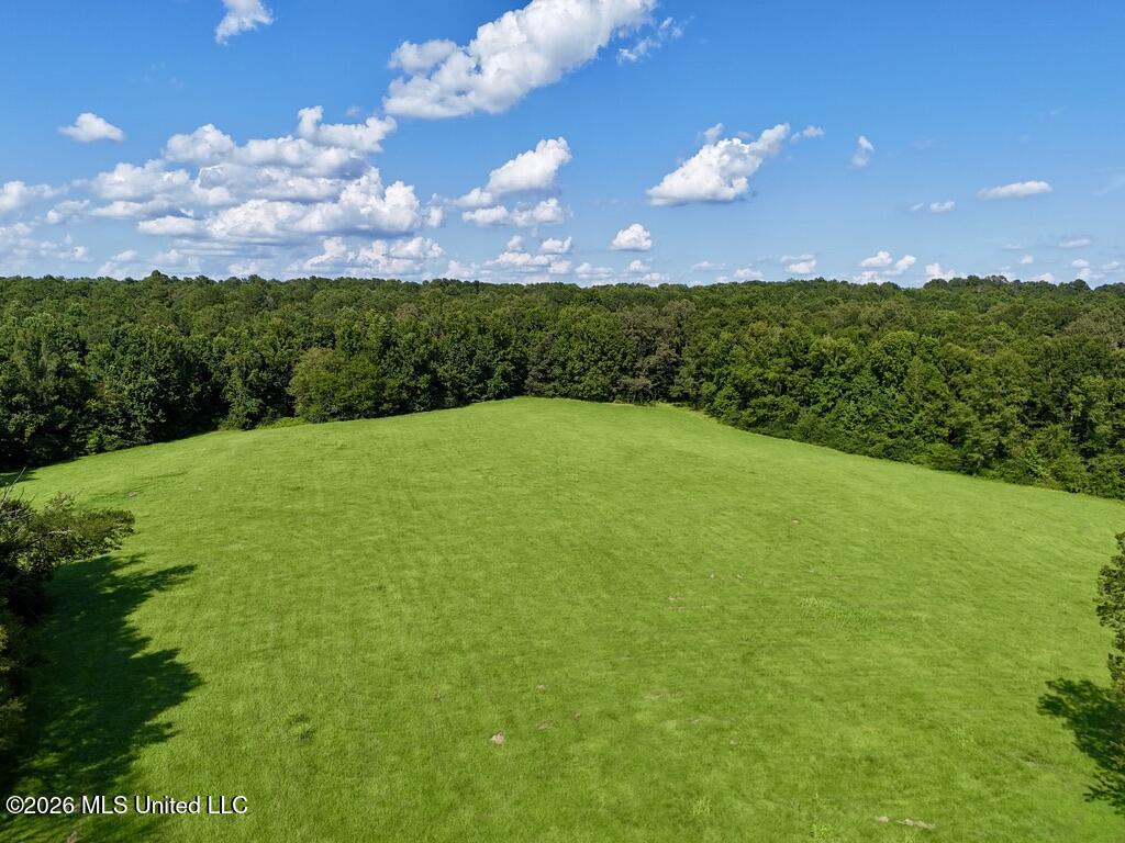 006 Monticello Road Property Photo 3