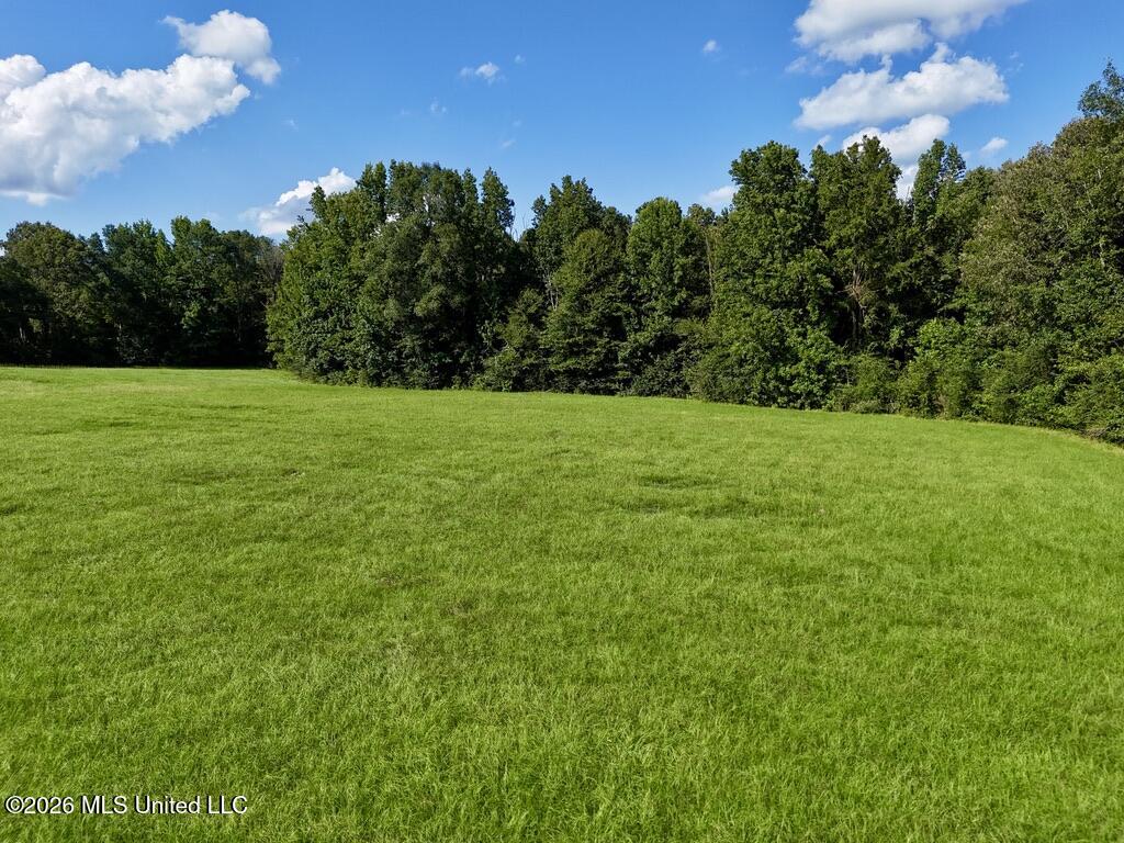 006 Monticello Road Property Photo 4