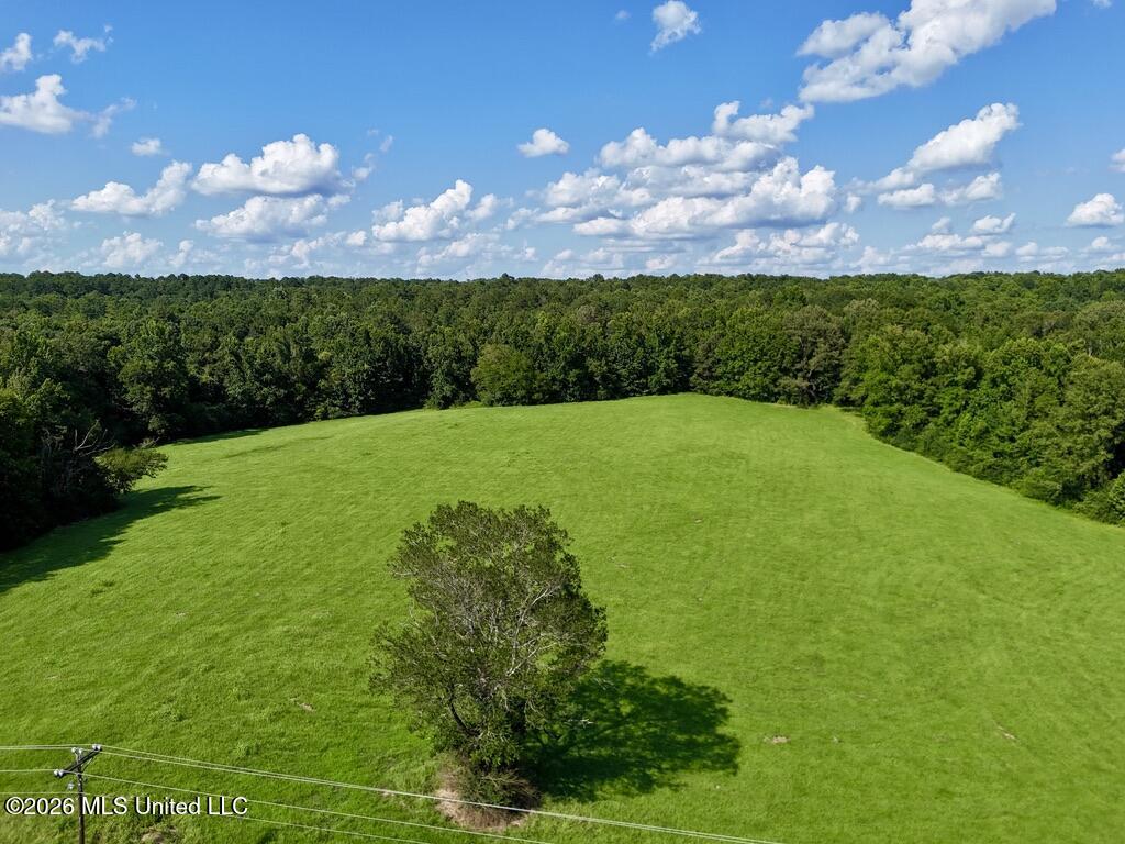 006 Monticello Road Property Photo 9