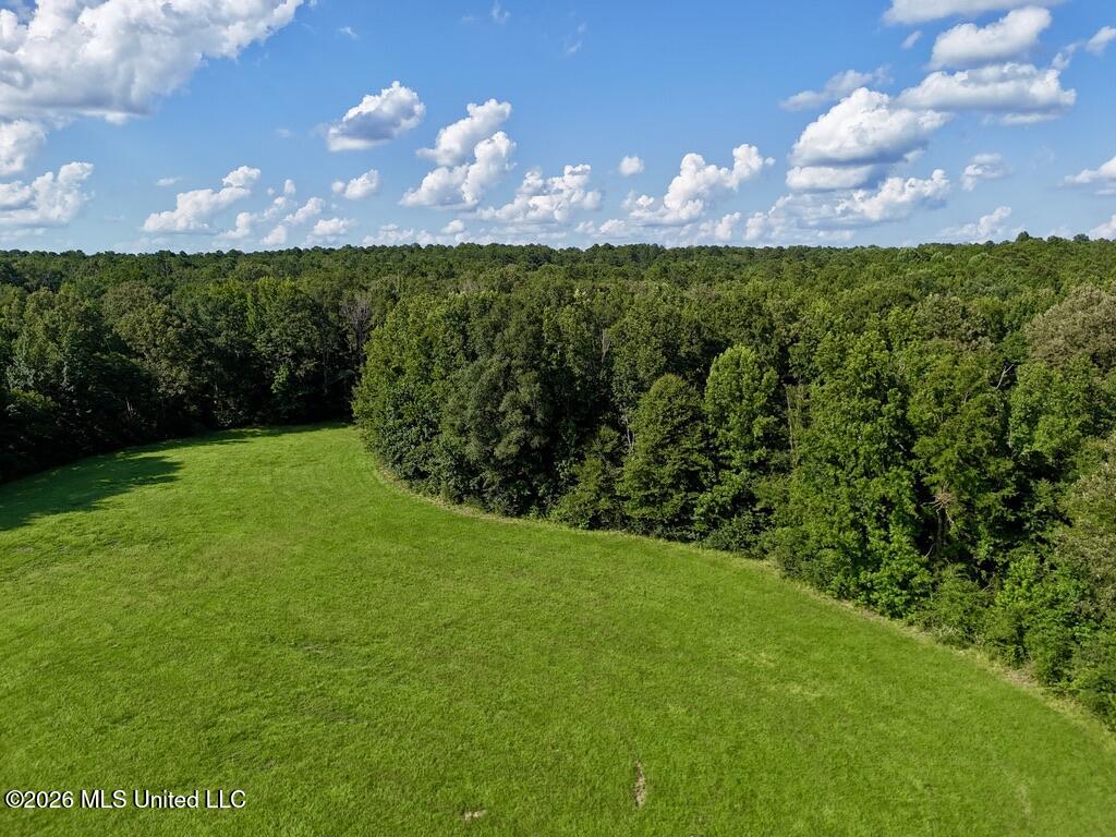 006 Monticello Road Property Photo 10