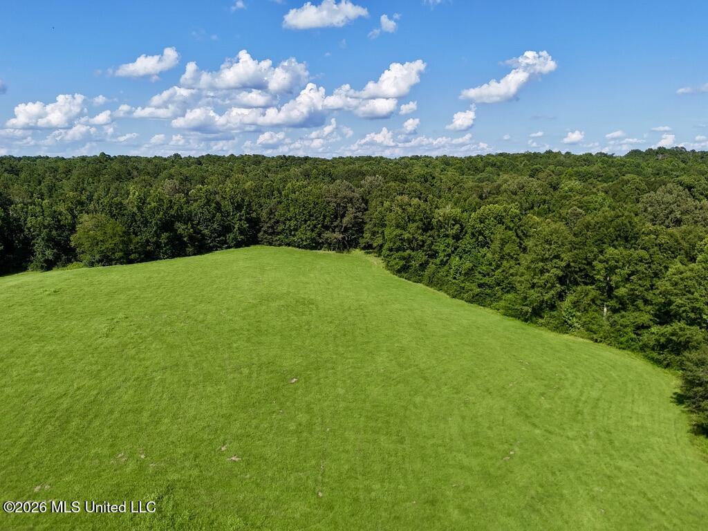 006 Monticello Road Property Photo 11