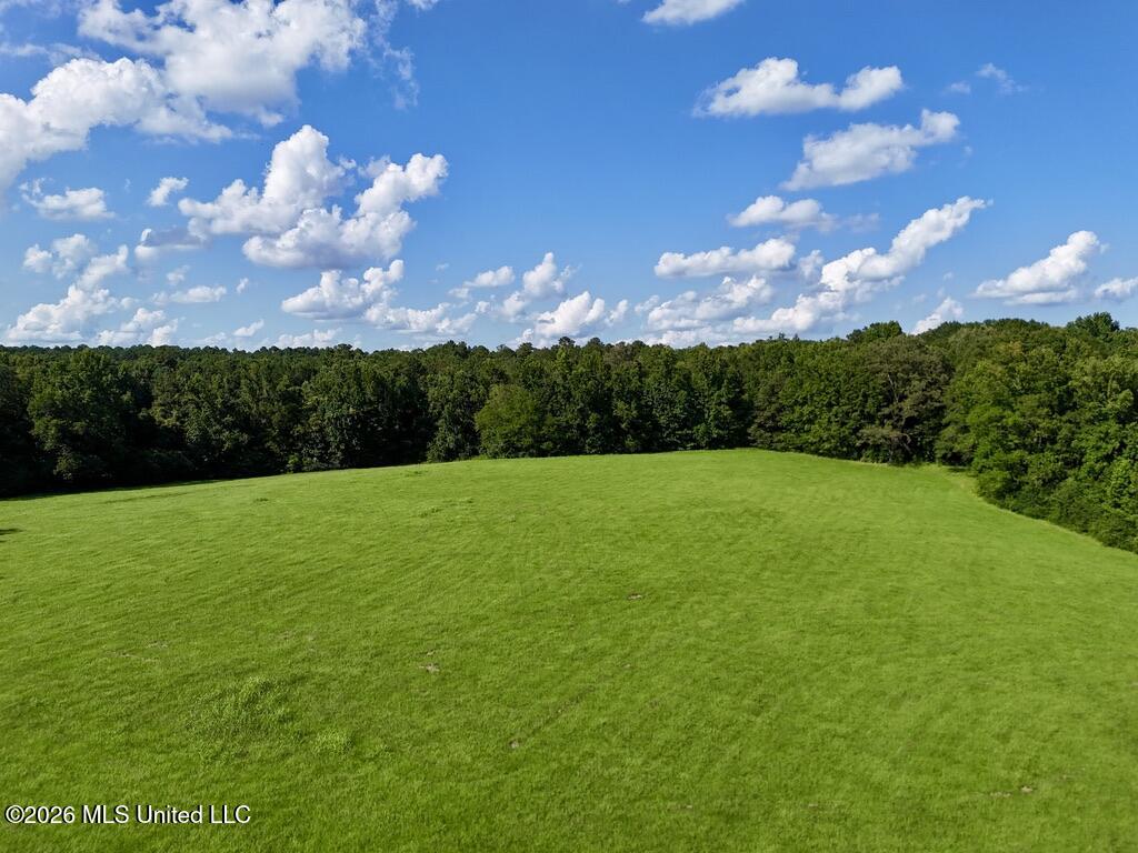 006 Monticello Road Property Photo 13