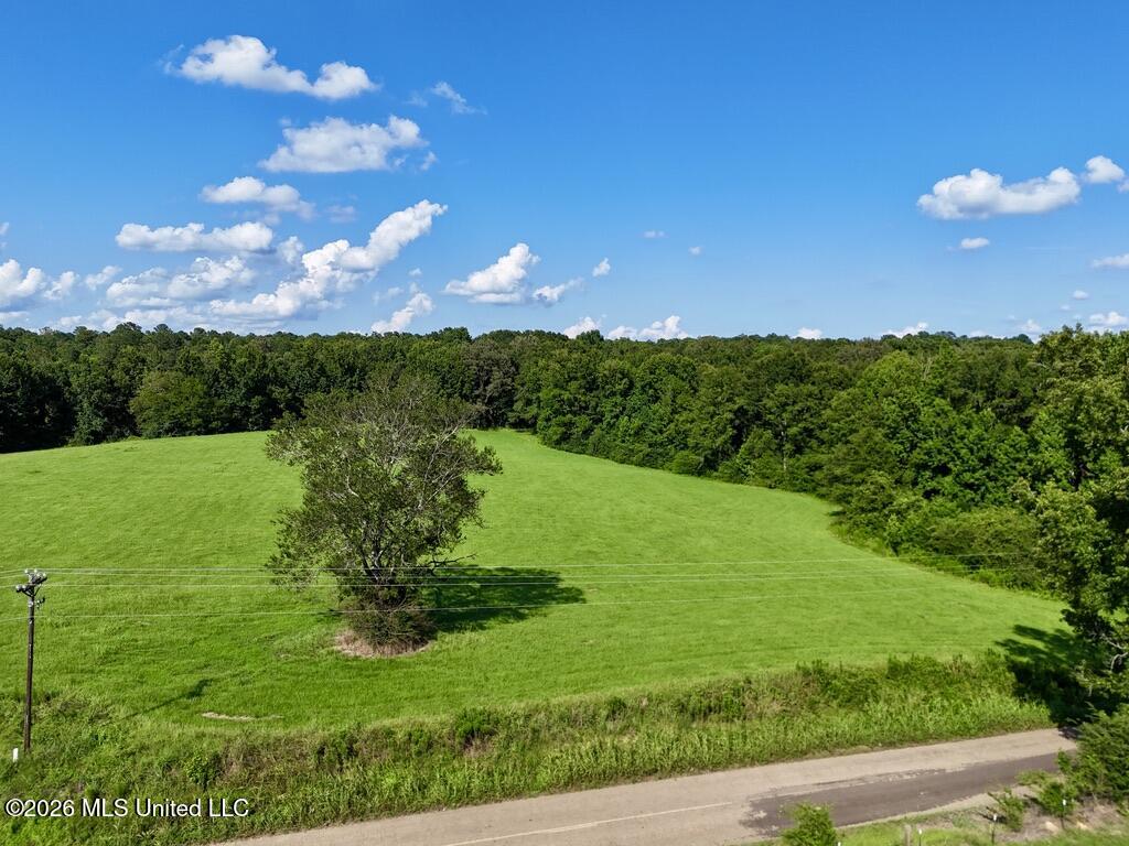006 Monticello Road Property Photo 14
