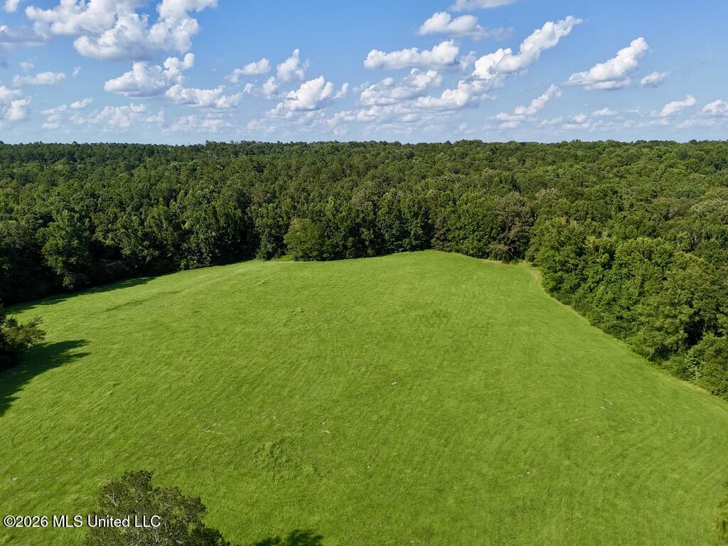 006 Monticello Road Property Photo 17