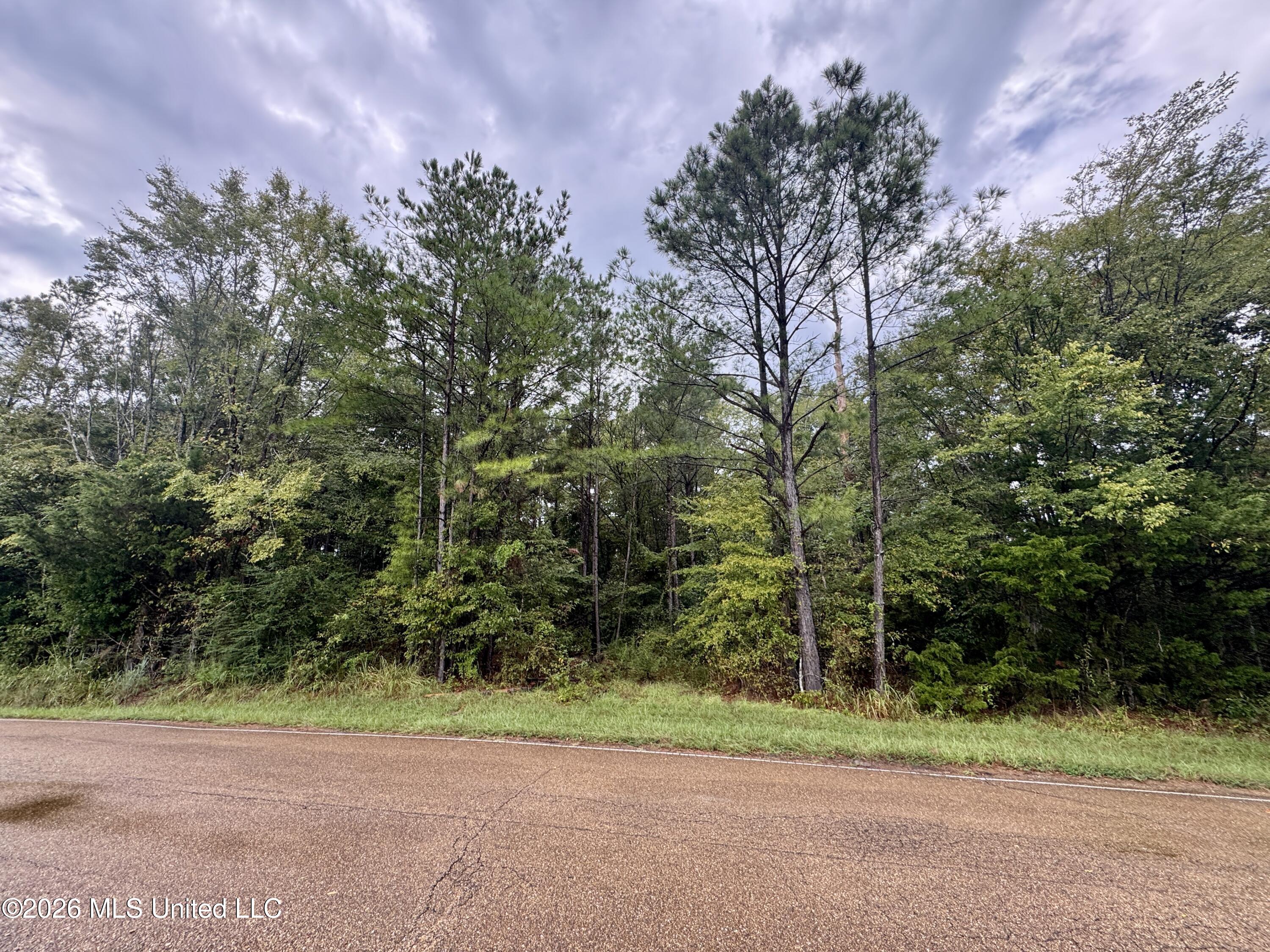 0001 Tithelo Road Property Photo 8