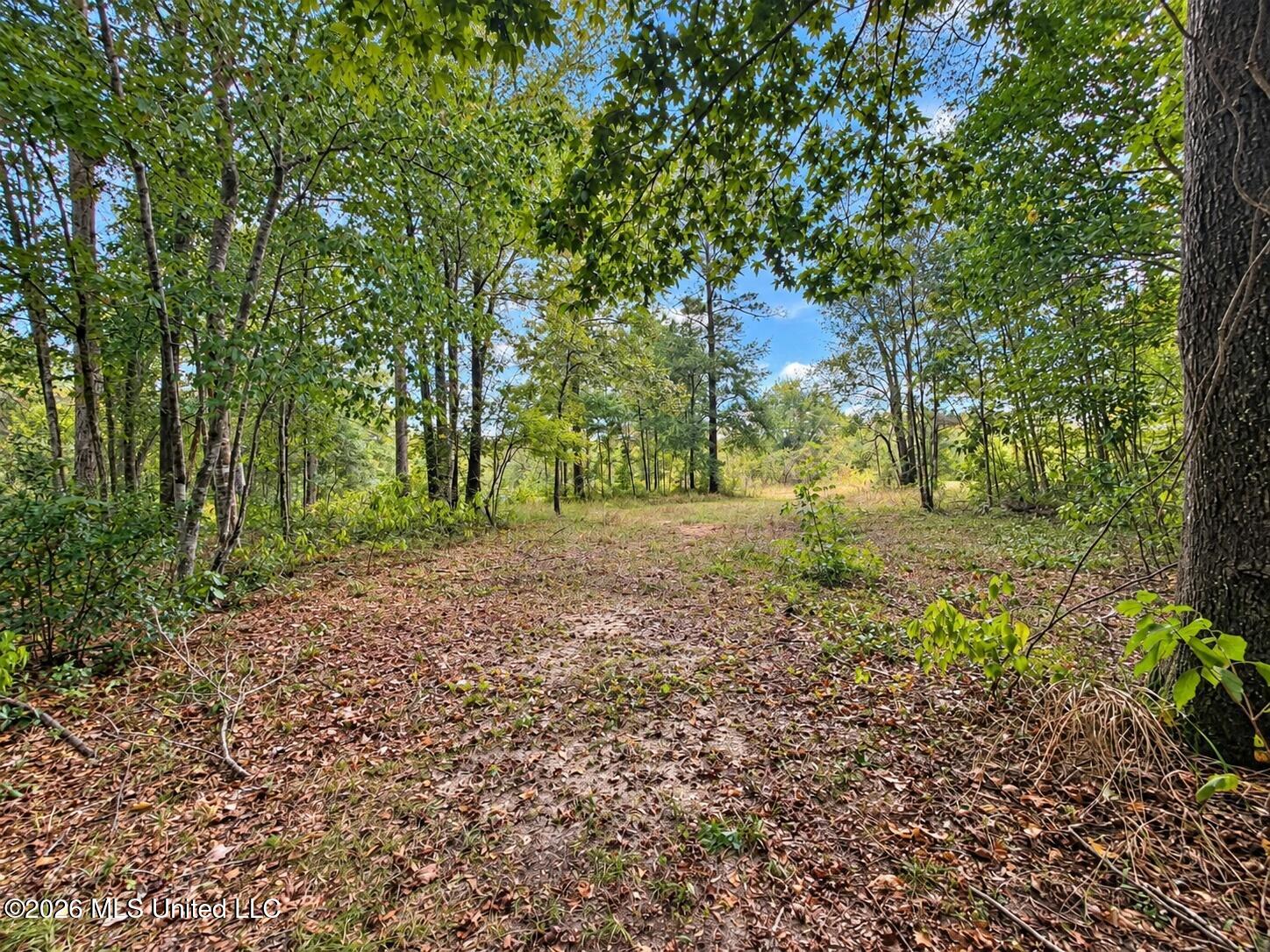 143a Pre Eddy Road Property Photo 27