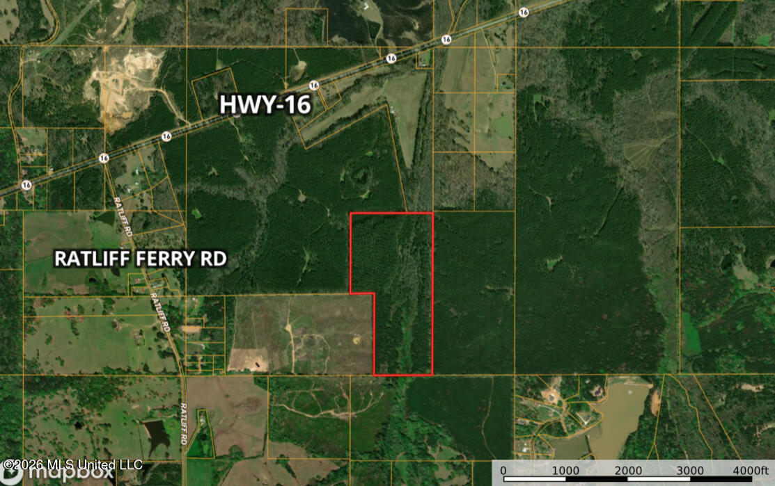 Ratliff Ferry Road Property Photo 2