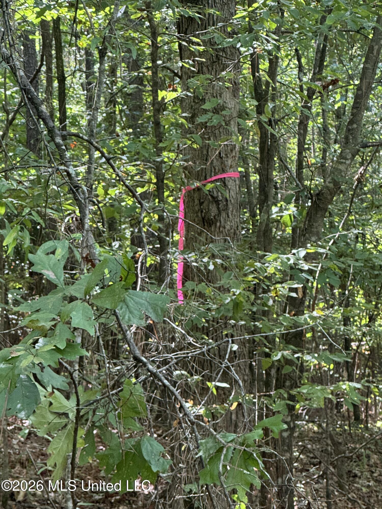Ratliff Ferry Road Property Photo 3