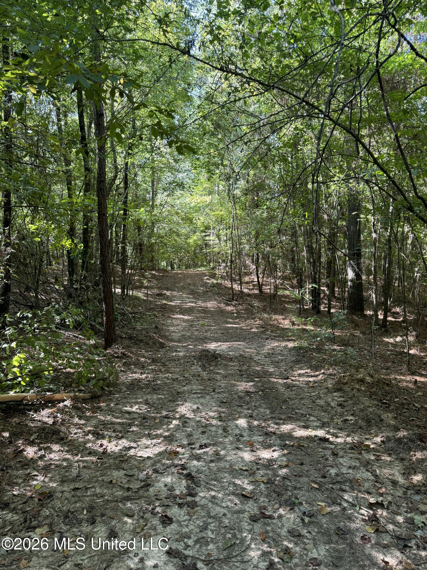 Ratliff Ferry Road Property Photo 5